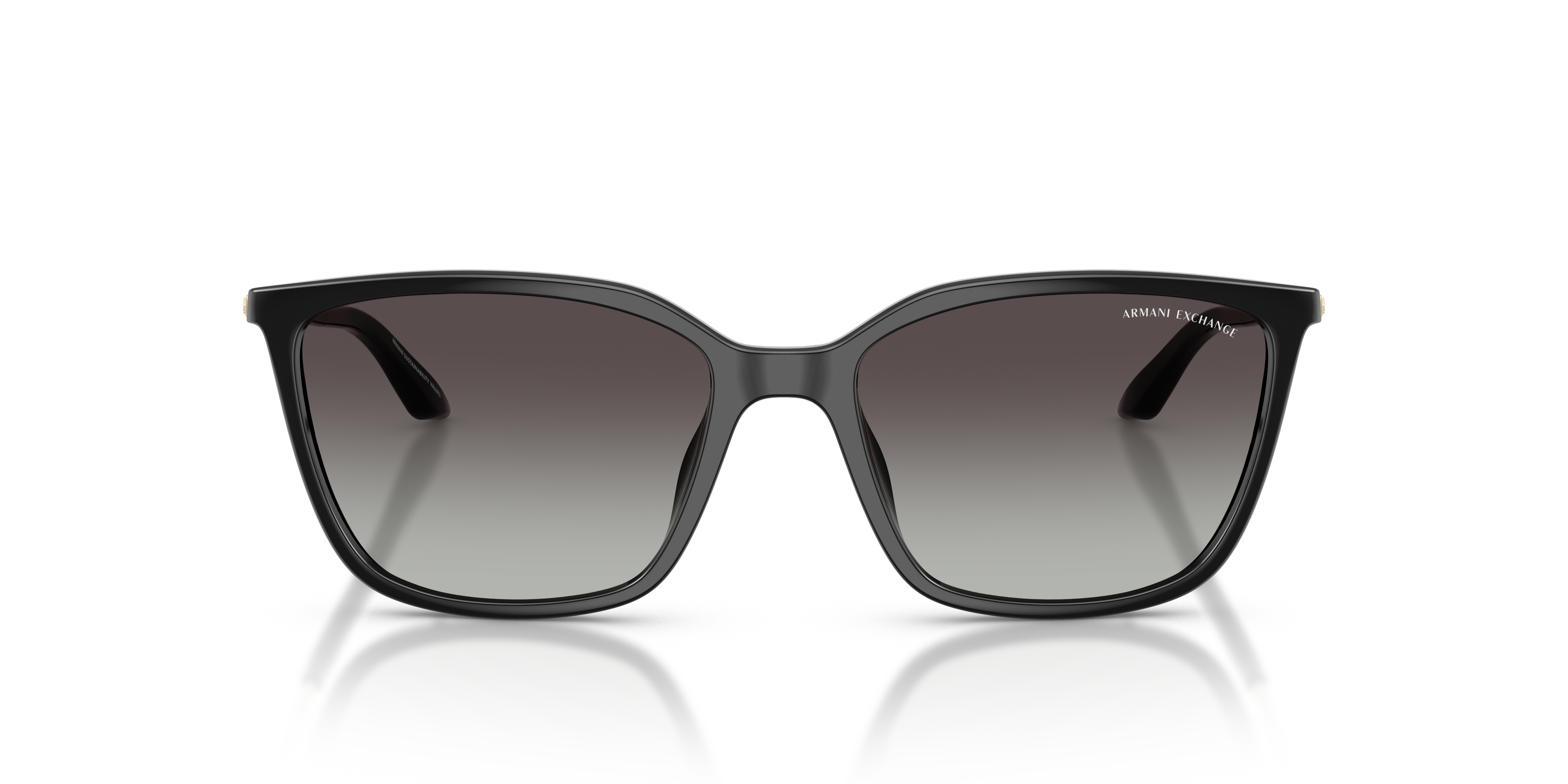 Armani Exchange 0AX4171SU Güneş Gözlüğü 4