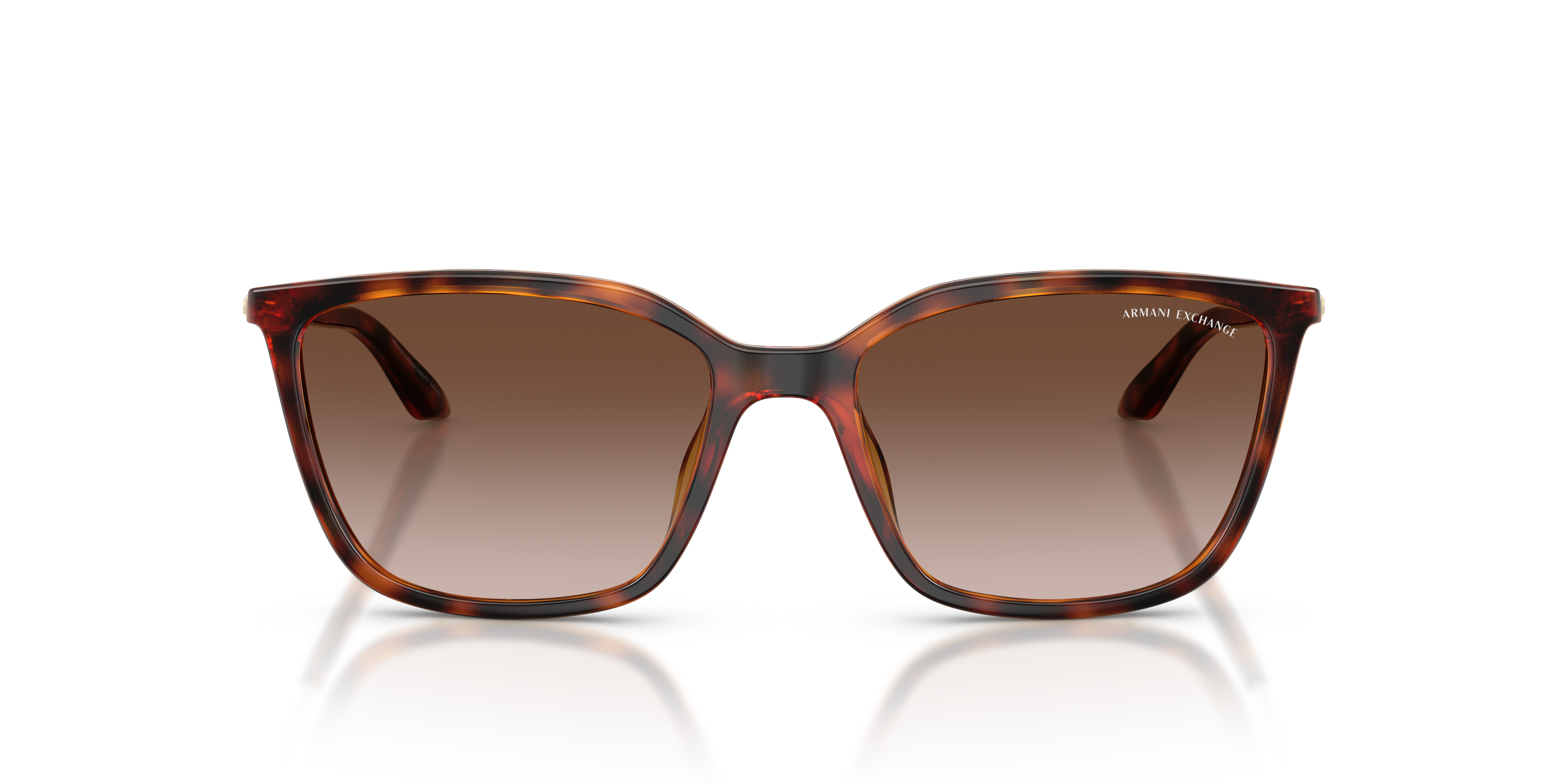 Armani Exchange 0AX4171SU Güneş Gözlüğü 4