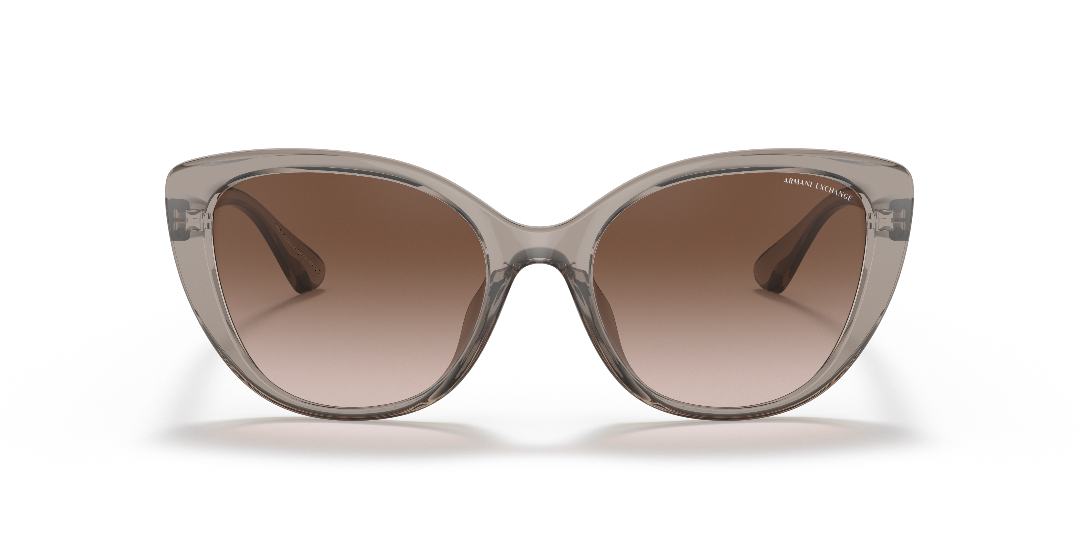 Armani Exchange 0AX4111SU Güneş Gözlüğü 4
