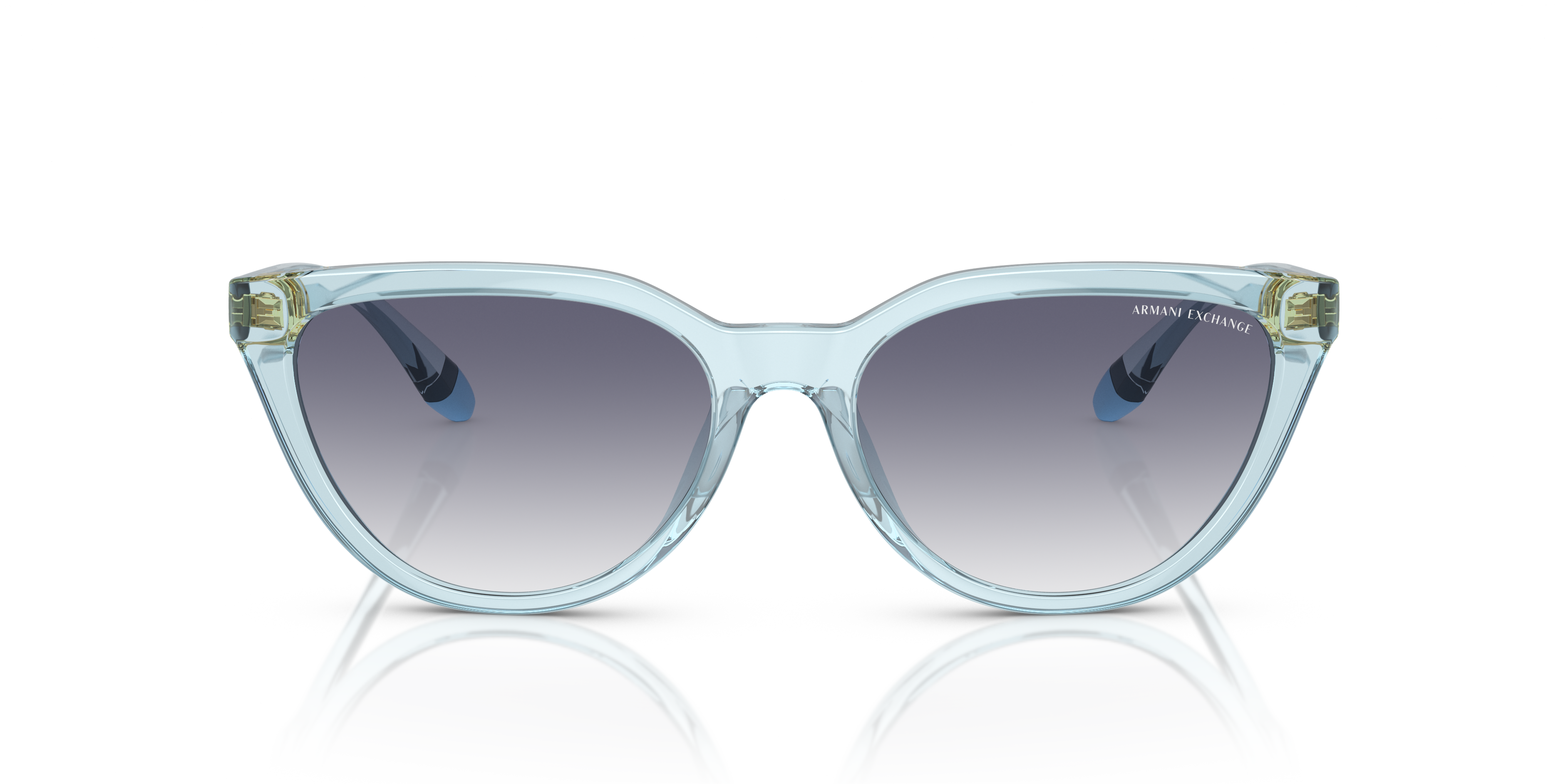 Armani Exchange 0AX4130SU Güneş Gözlüğü 4