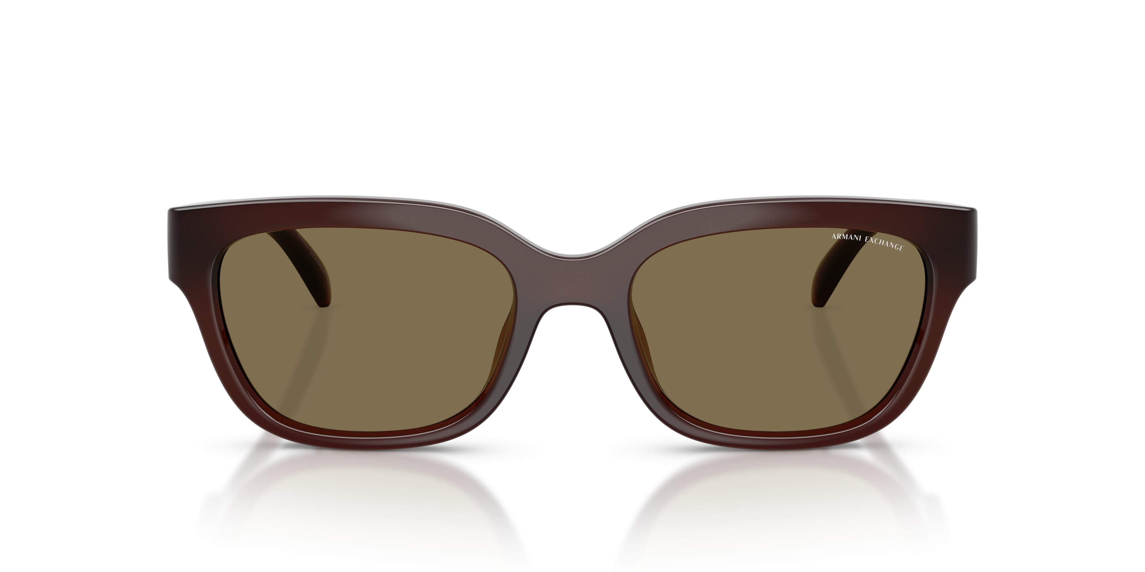 Armani Exchange 0AX4155SU Güneş Gözlüğü 4