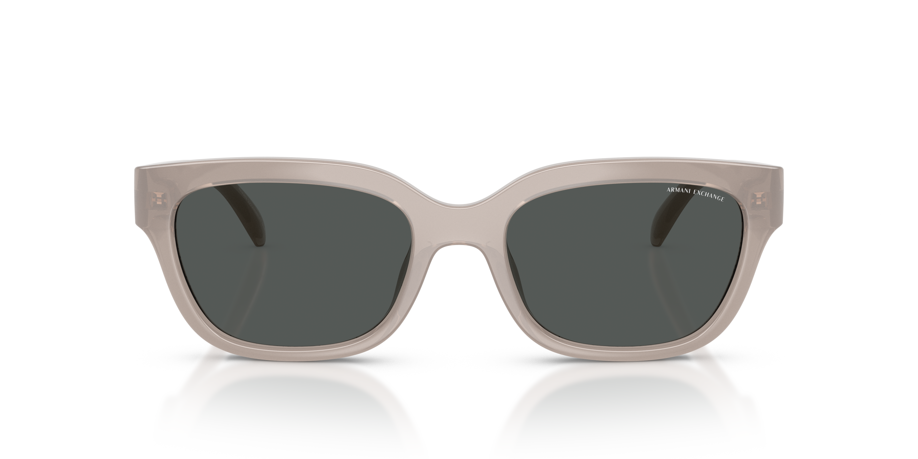 Armani Exchange 0AX4155SU Güneş Gözlüğü 4