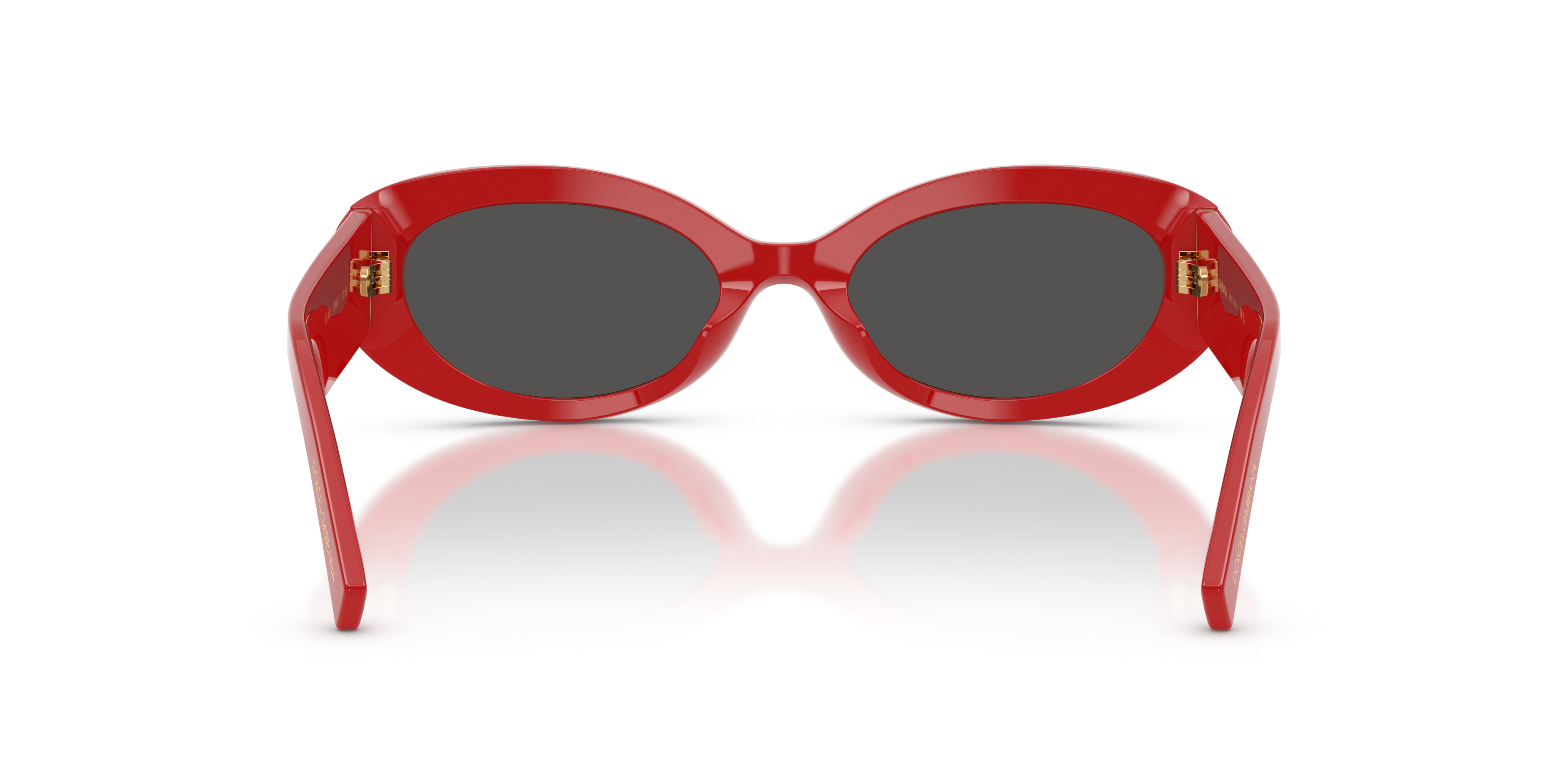 Dolce&Gabbana 0DG4537 Güneş Gözlüğü 3