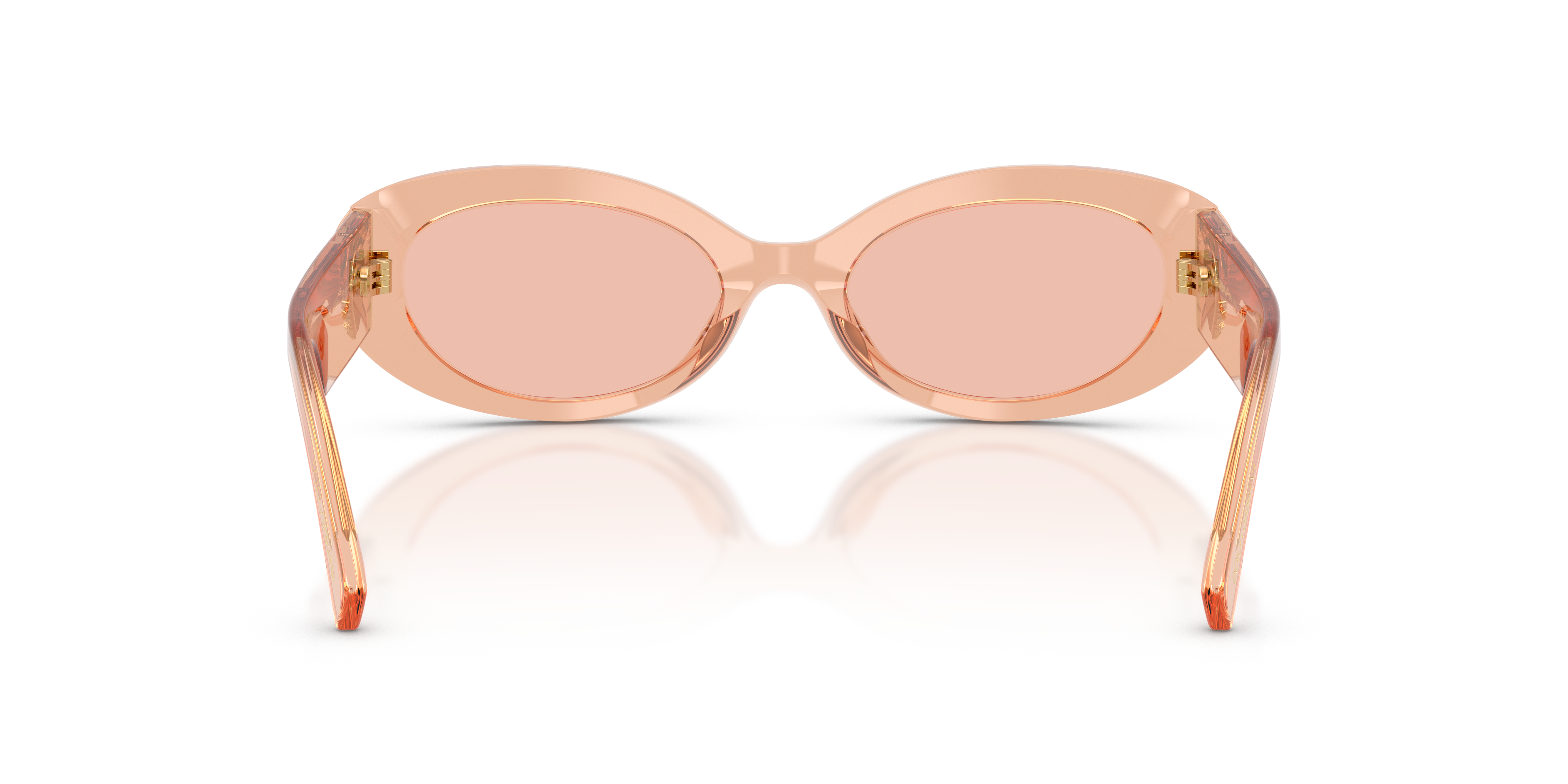 Dolce&Gabbana 0DG4537 Güneş Gözlüğü 3