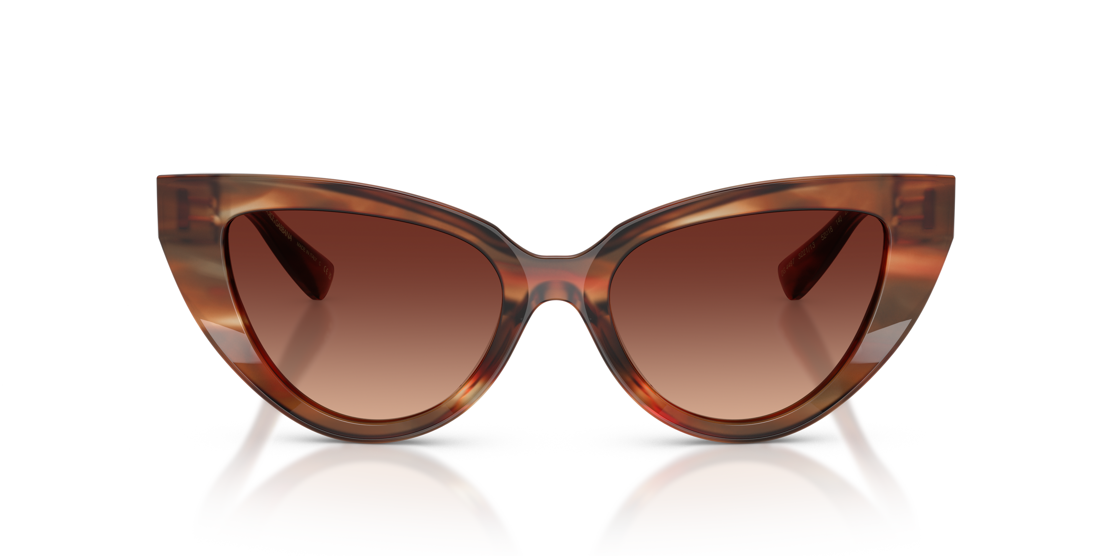 Dolce&Gabbana 0DG4497 Güneş Gözlüğü 4