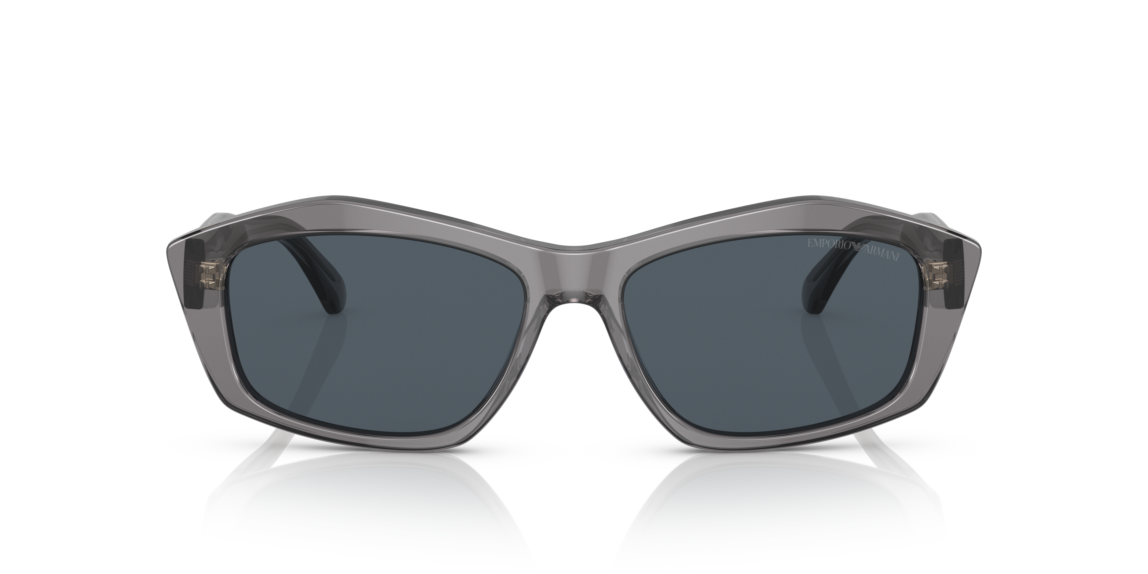 Emporio Armani 0EA4187 Güneş Gözlüğü 4