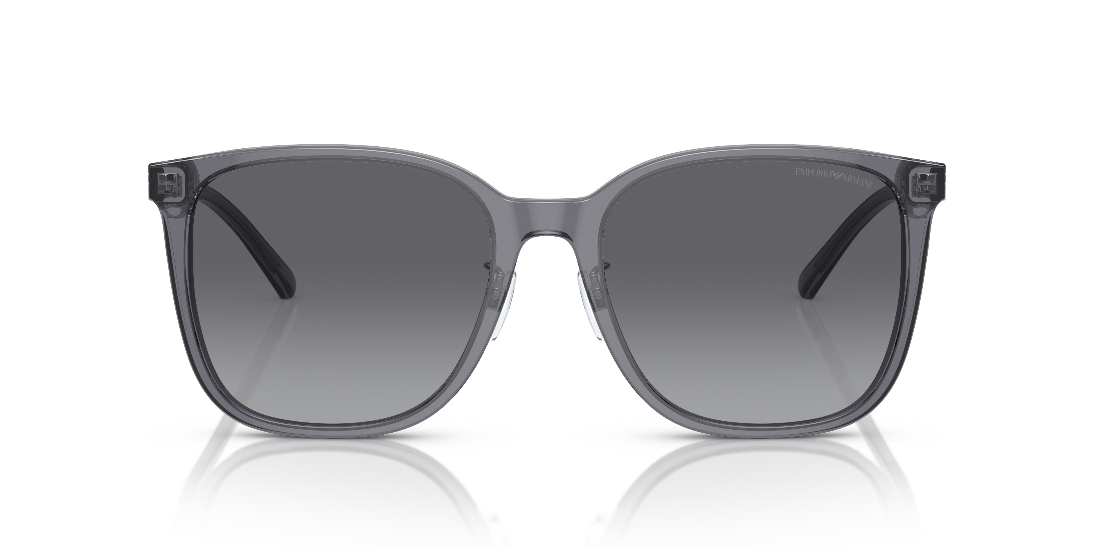 Emporio Armani 0EA4206D Güneş Gözlüğü 4