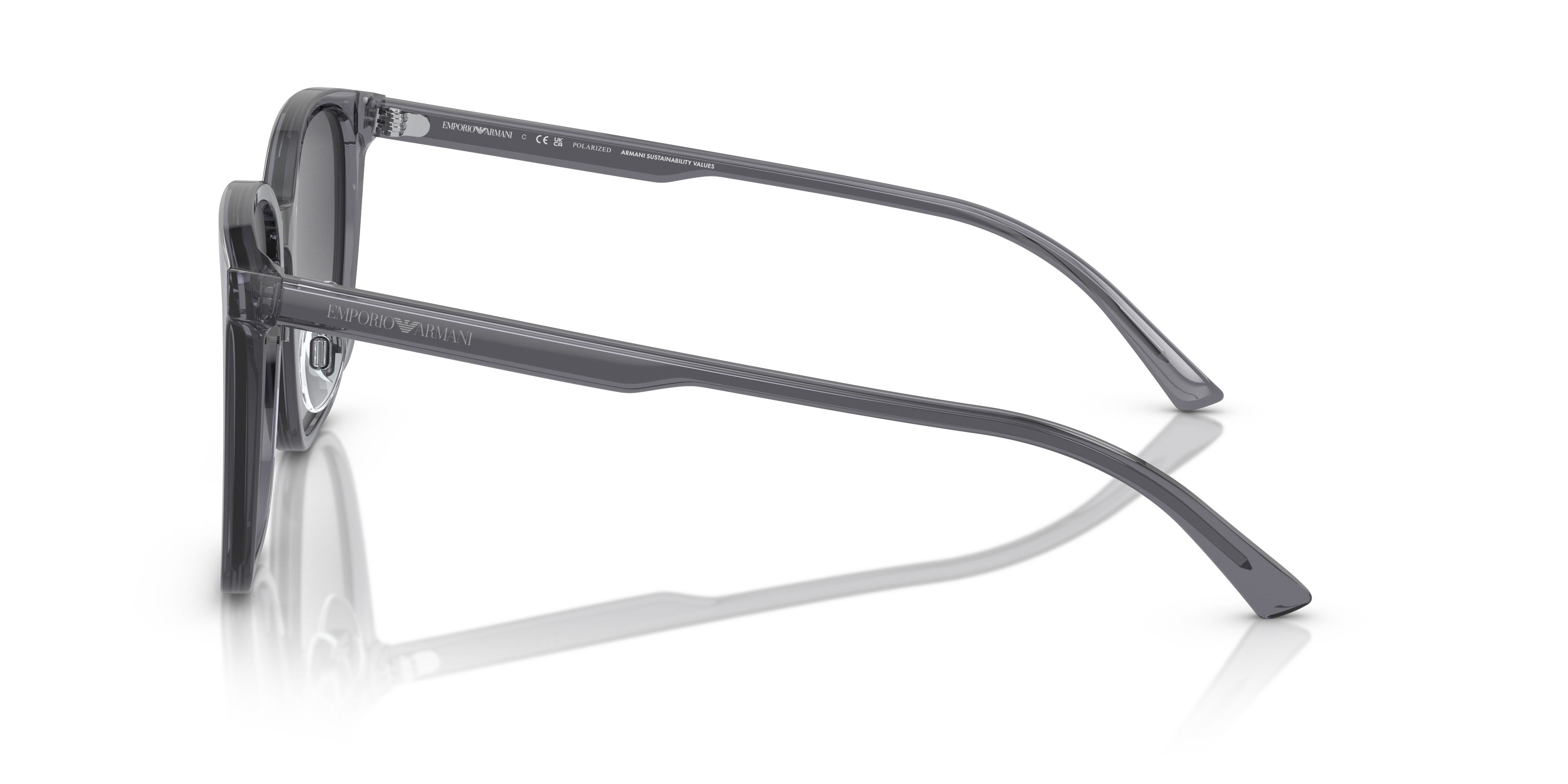 Emporio Armani 0EA4206D Güneş Gözlüğü 2