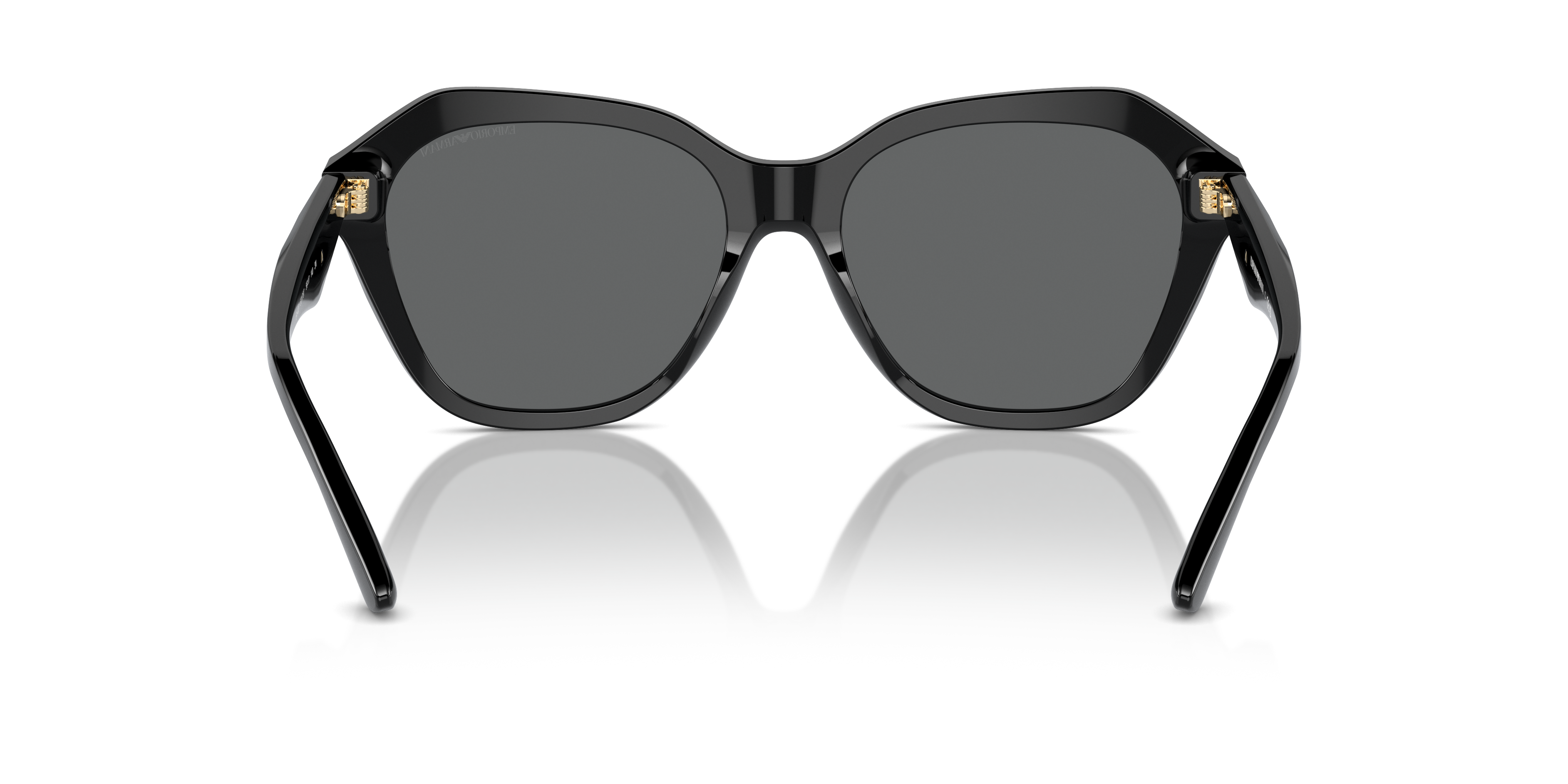 Emporio Armani 0EA4221 Güneş Gözlüğü 3