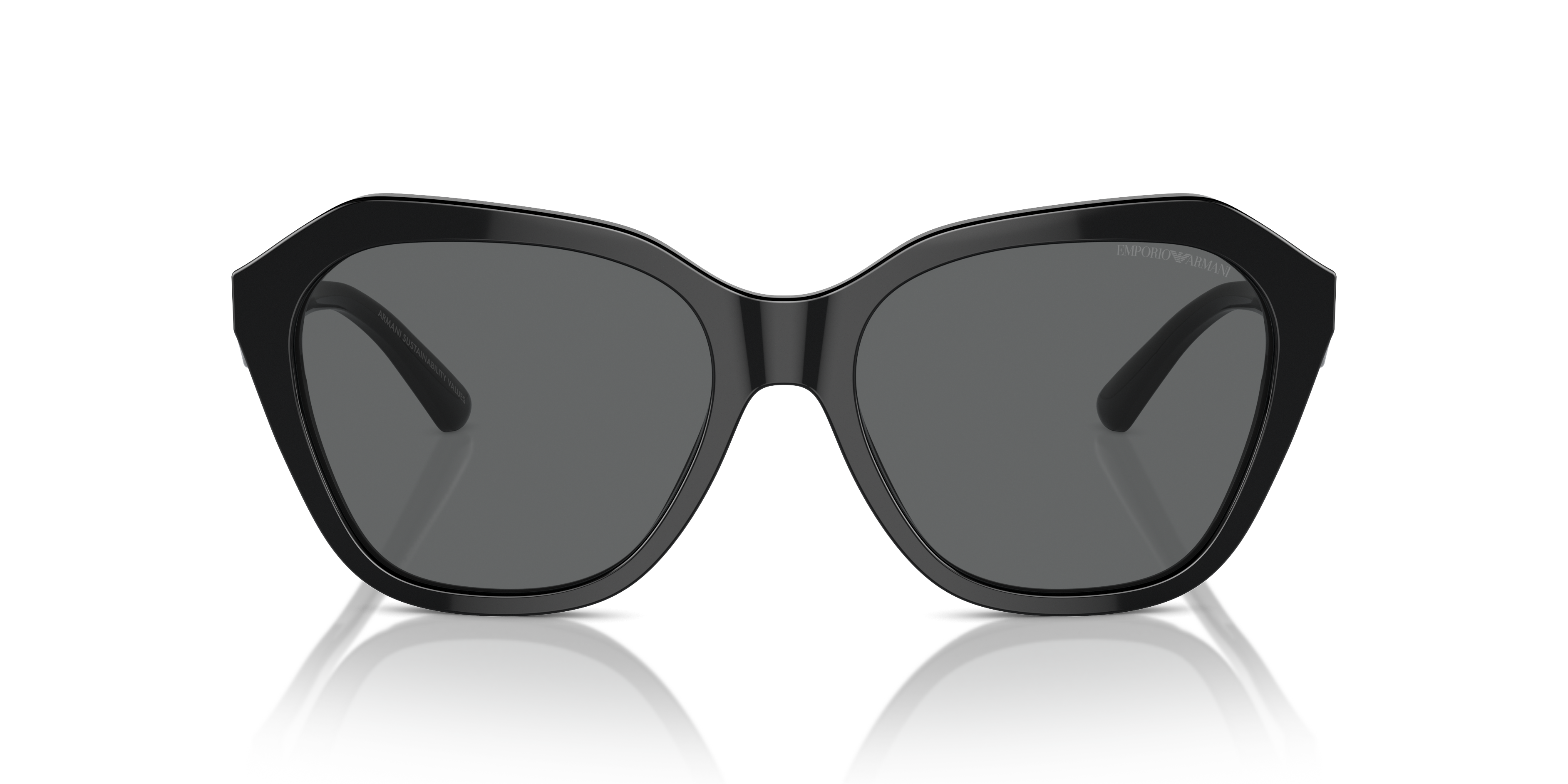 Emporio Armani 0EA4221 Güneş Gözlüğü 4