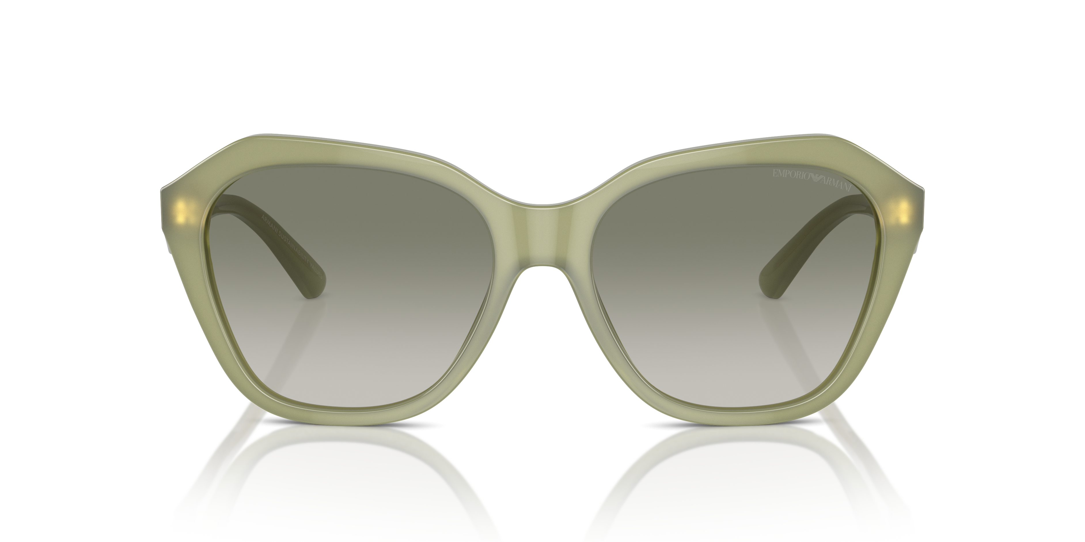 Emporio Armani 0EA4221 Güneş Gözlüğü 4