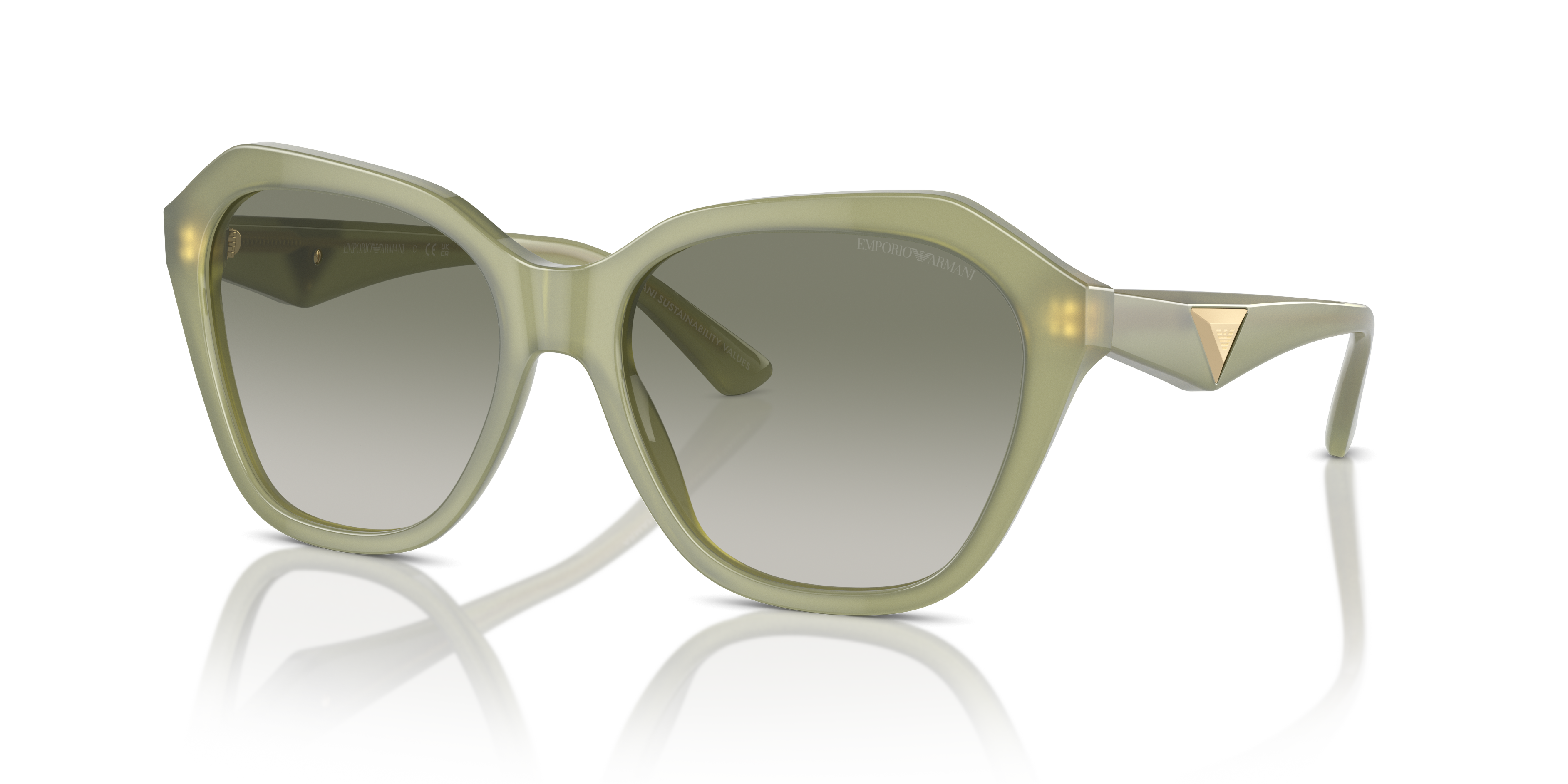 Emporio Armani 0EA4221 Güneş Gözlüğü