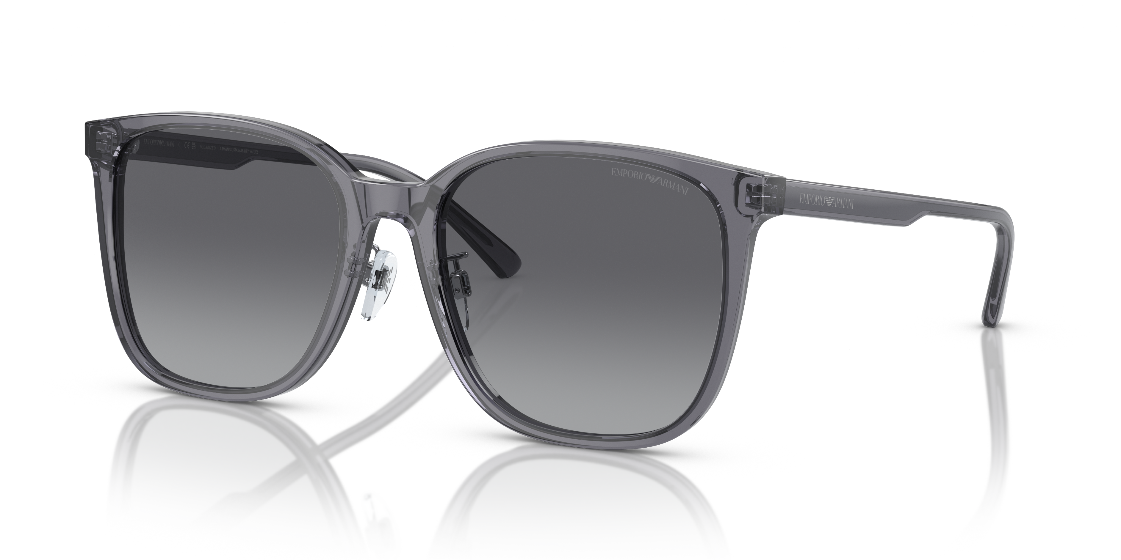 Emporio Armani 0EA4206D Güneş Gözlüğü