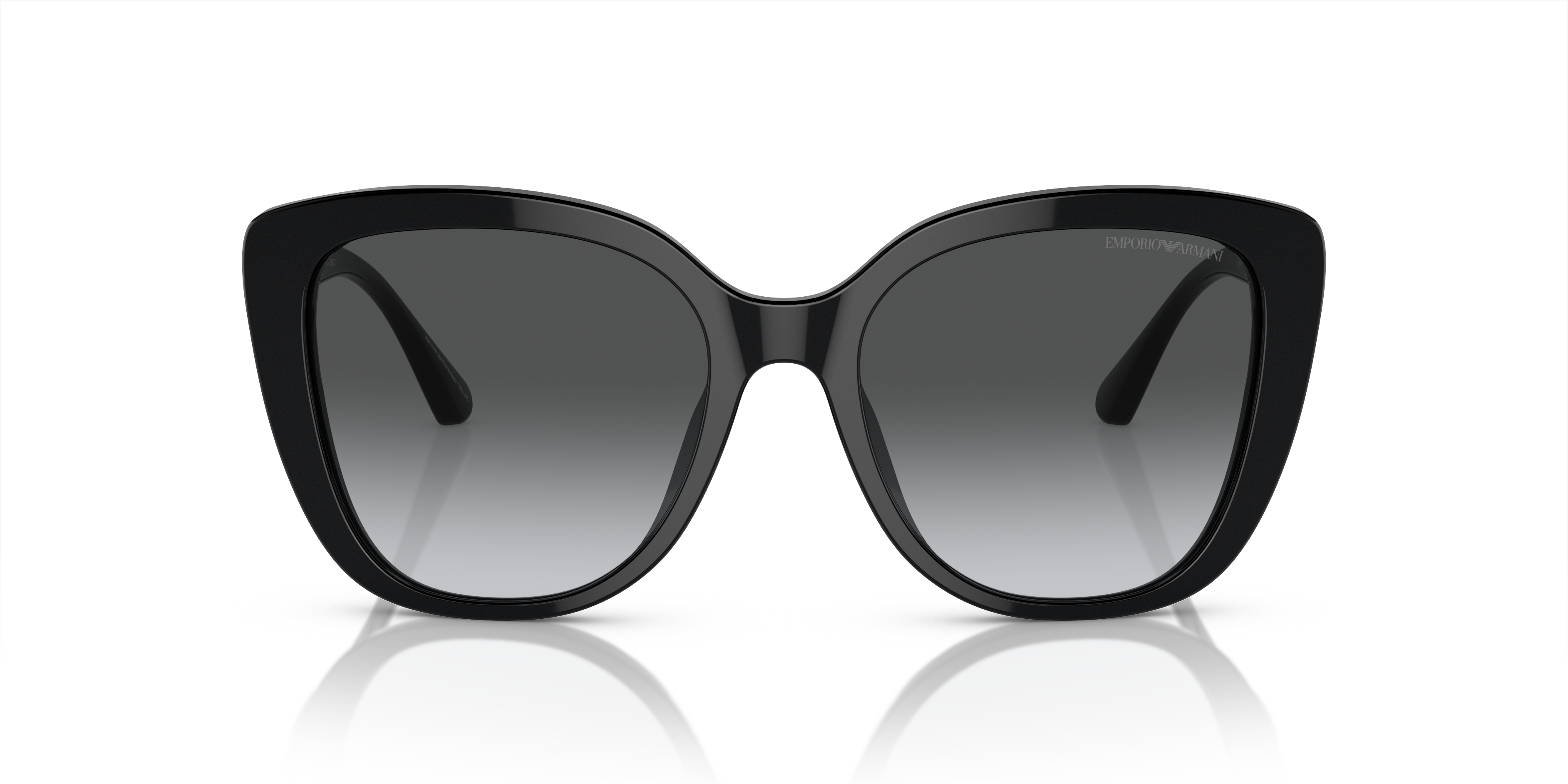 Emporio Armani 0EA4214U Güneş Gözlüğü 4