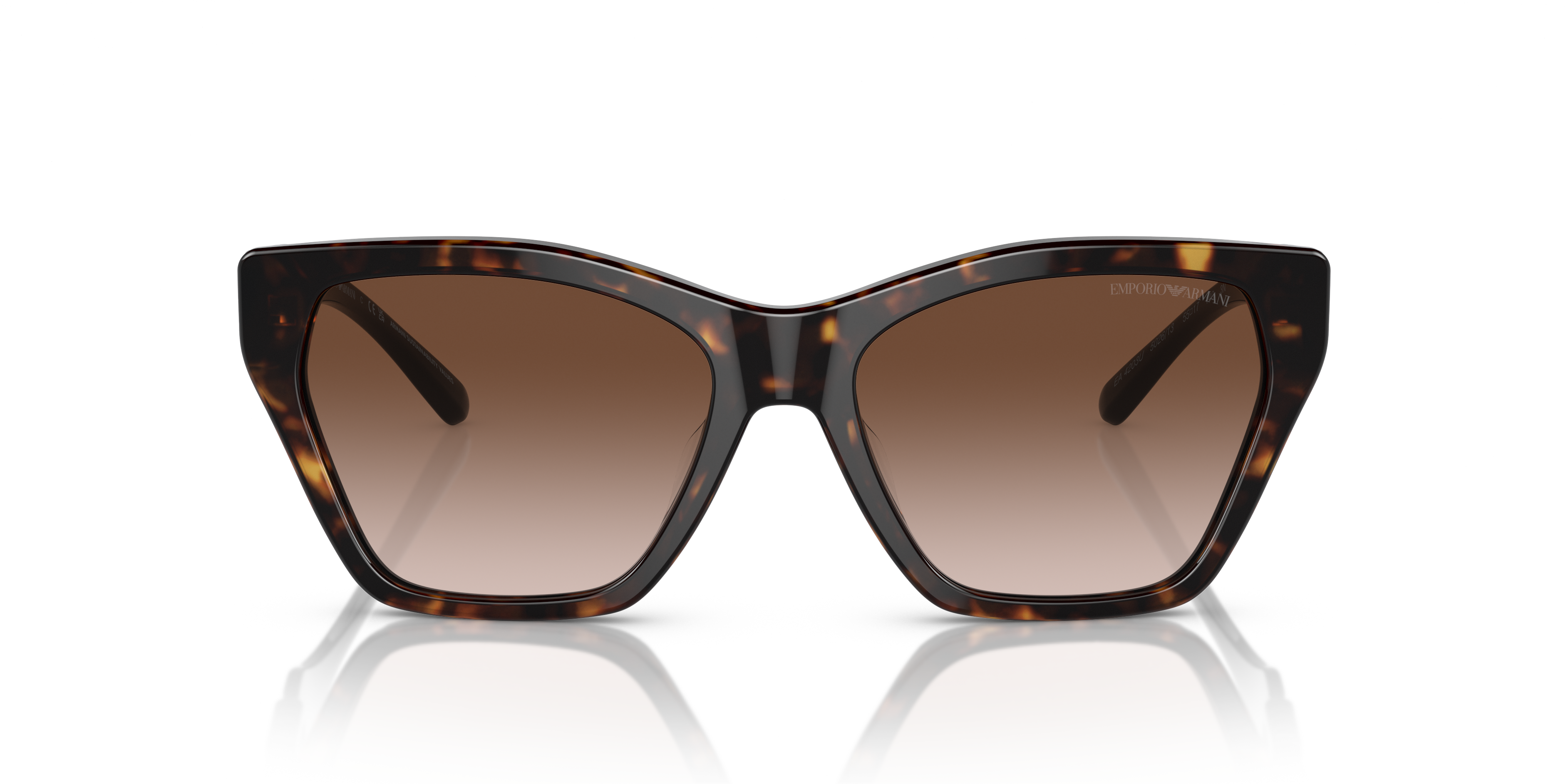 Emporio Armani 0EA4203U Güneş Gözlüğü 4