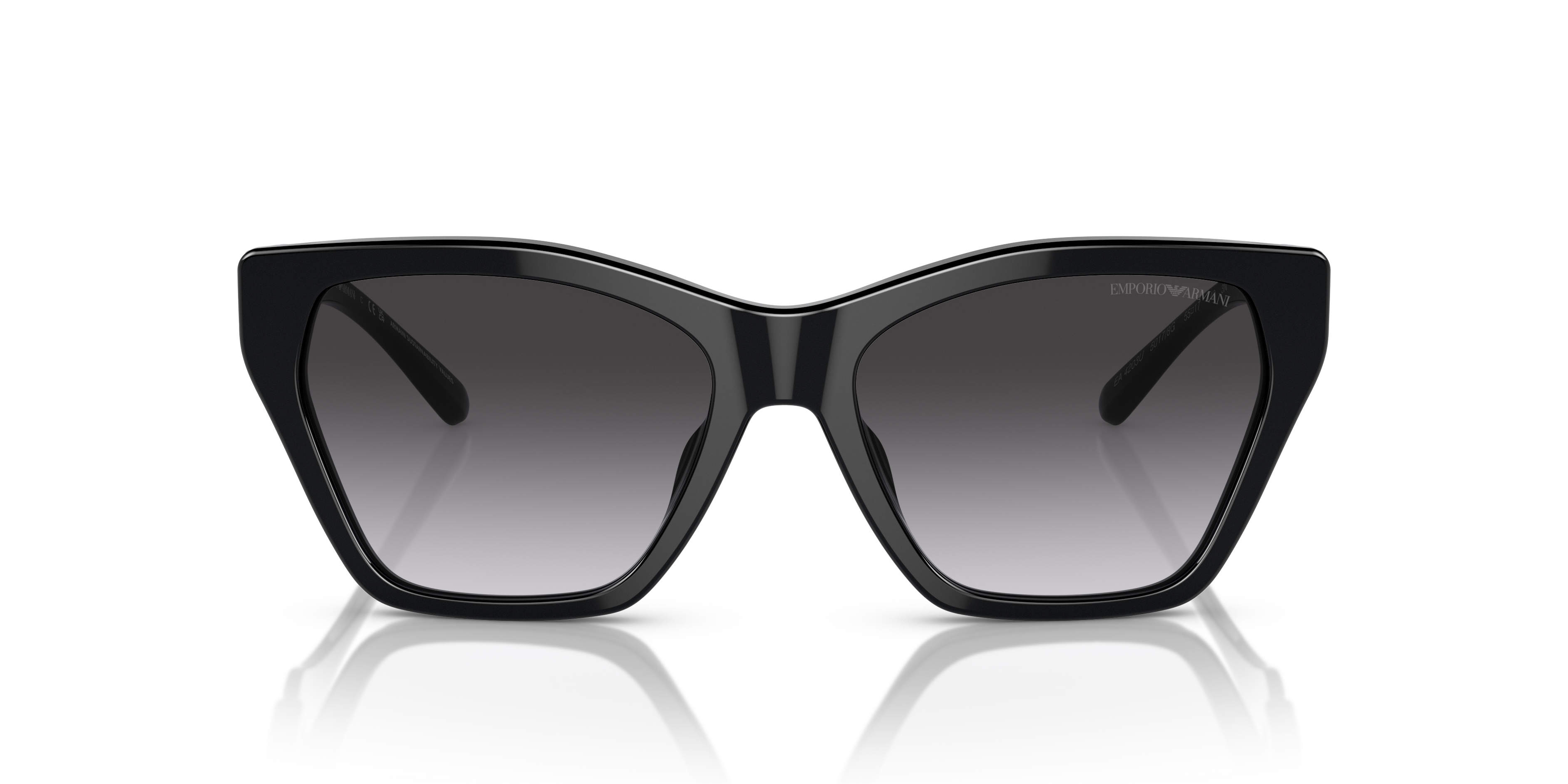 Emporio Armani 0EA4203U Güneş Gözlüğü 4