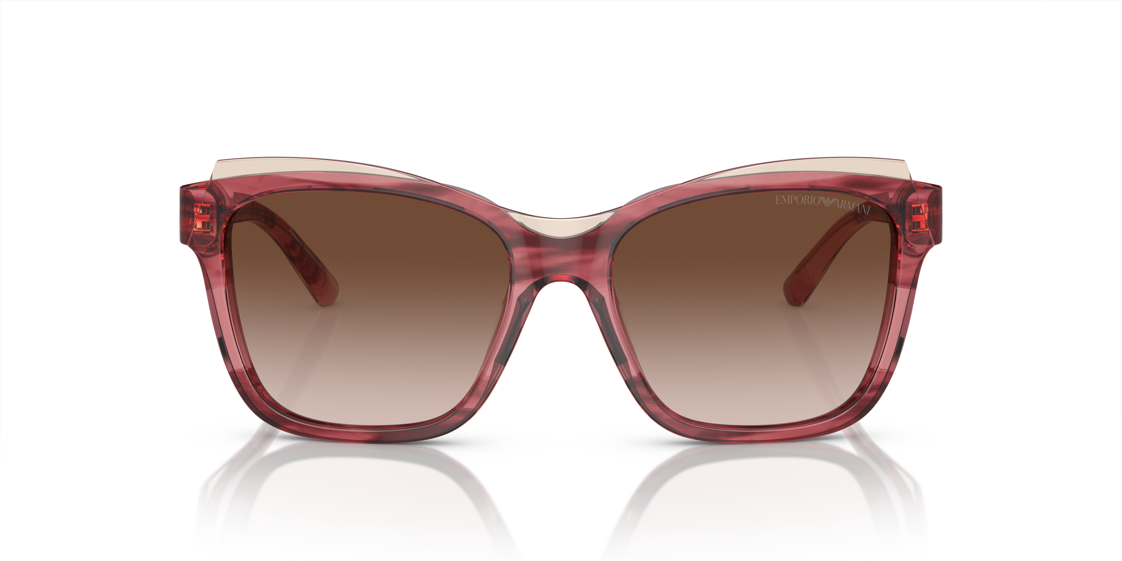 Emporio Armani 0EA4209 Güneş Gözlüğü 4
