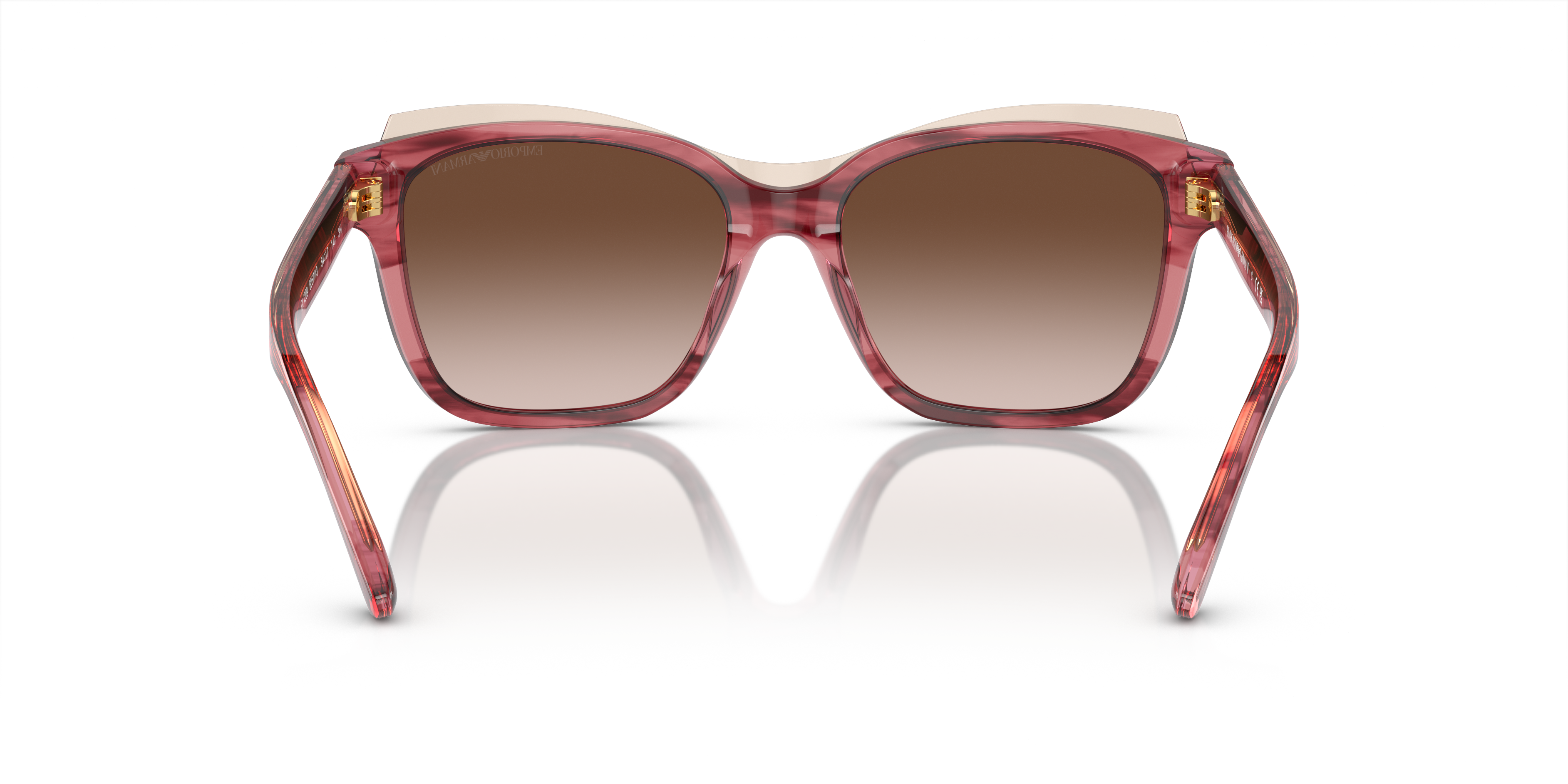 Emporio Armani 0EA4209 Güneş Gözlüğü 3