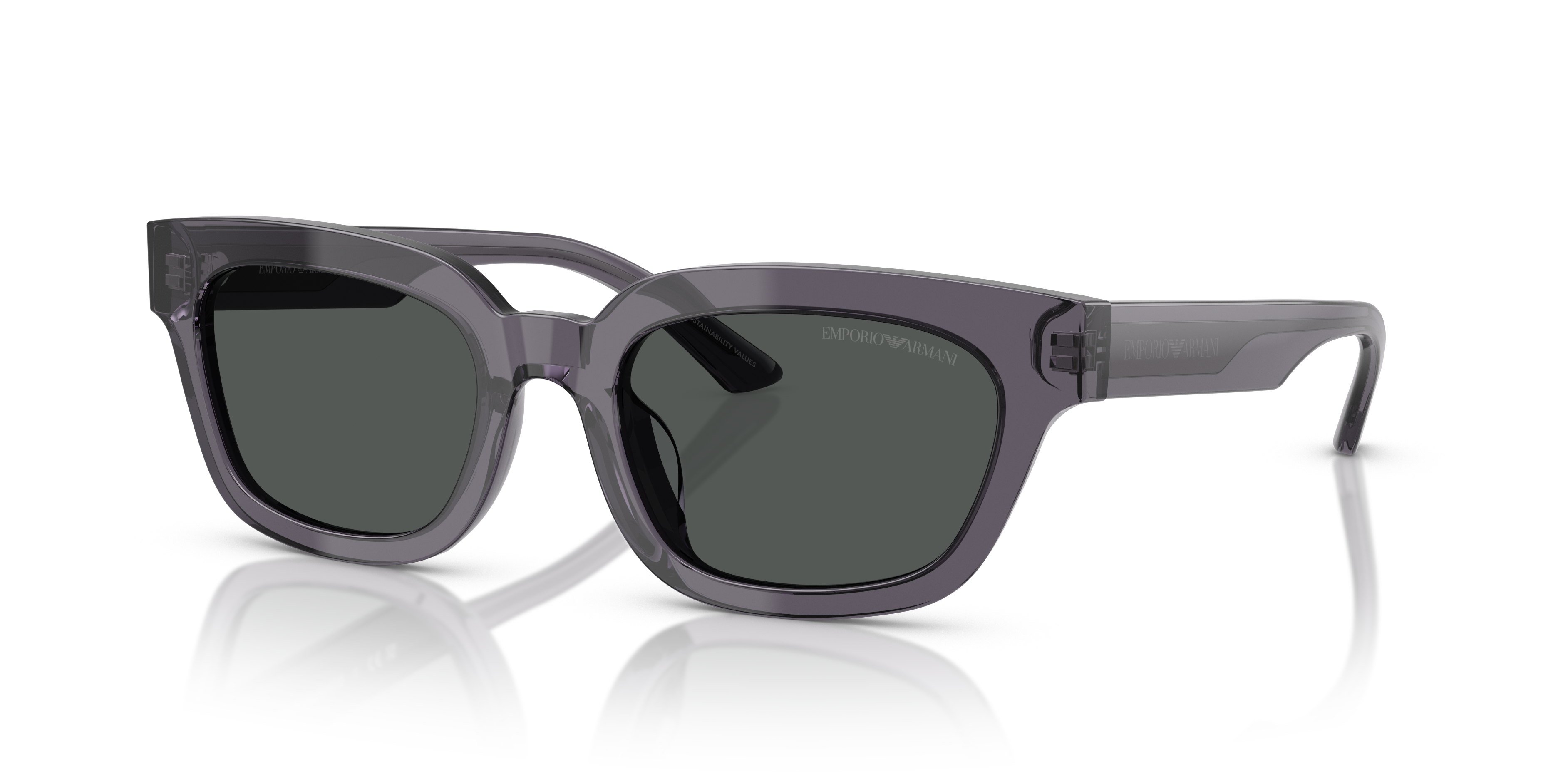 Emporio Armani 0EA4233U Güneş Gözlüğü