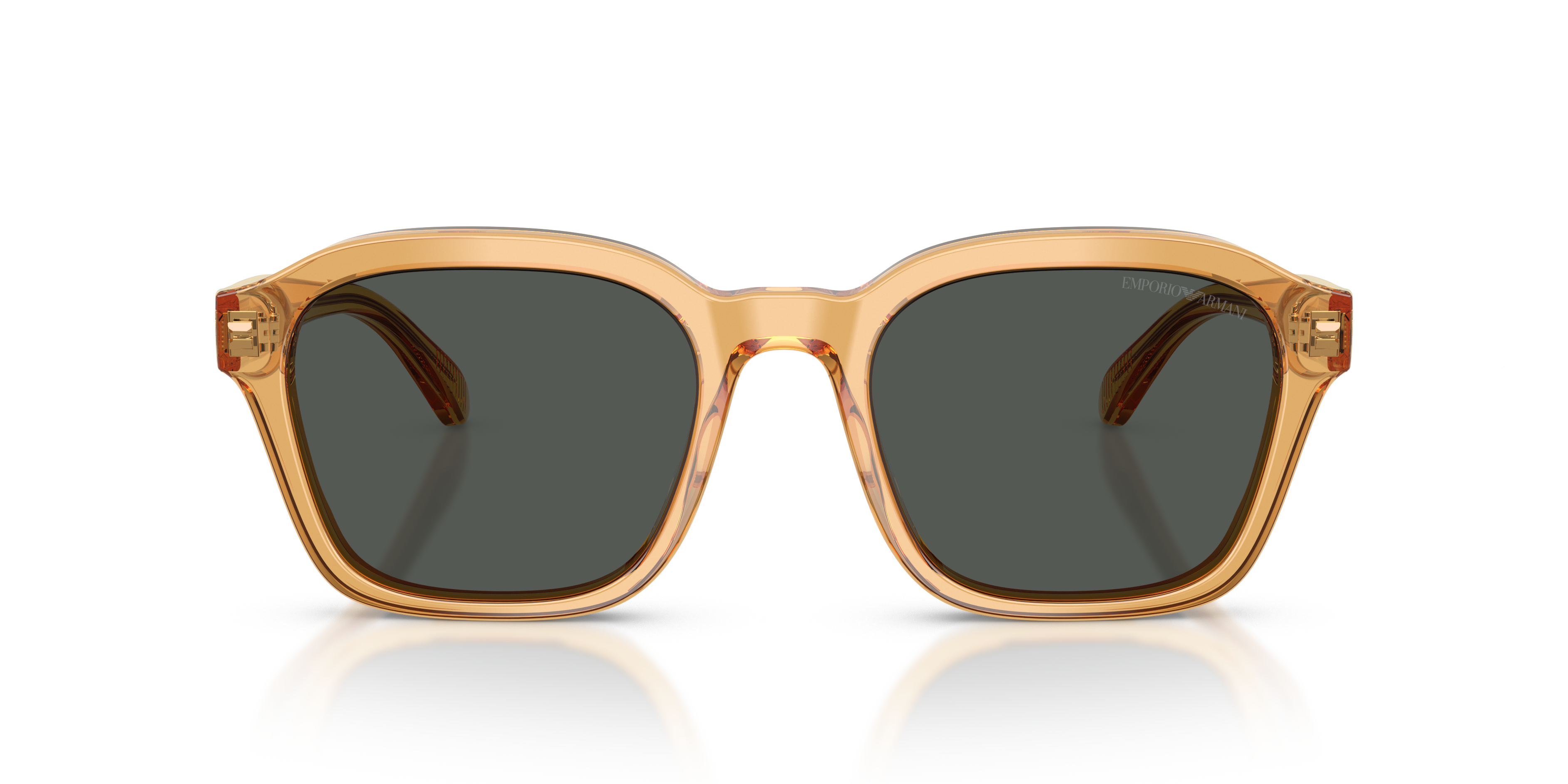 Emporio Armani 0EA4245U Güneş Gözlüğü 4