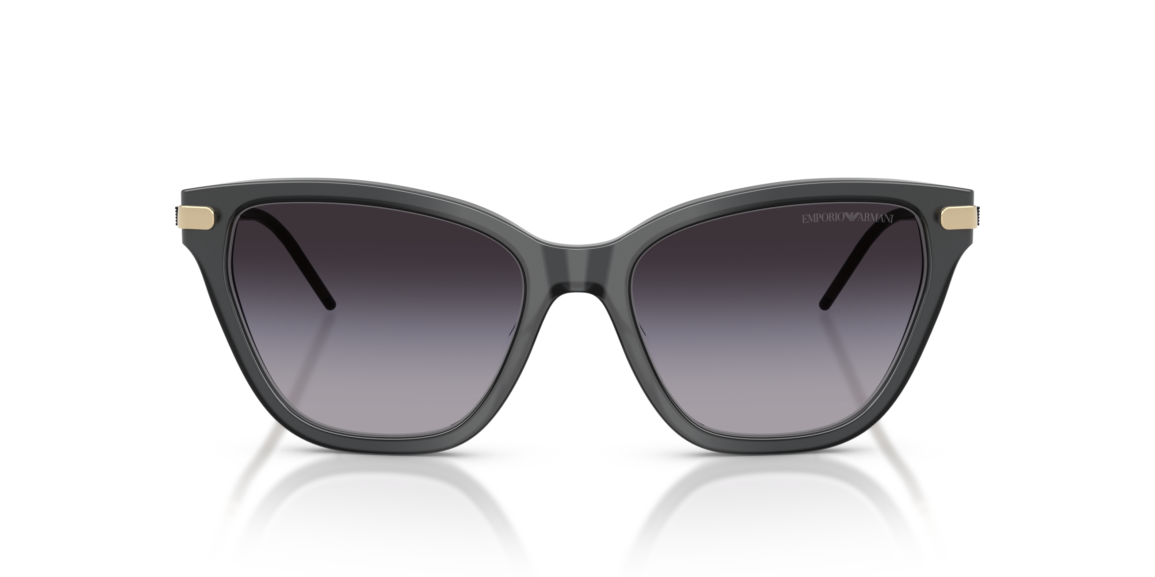 Emporio Armani 0EA4251 Güneş Gözlüğü 4