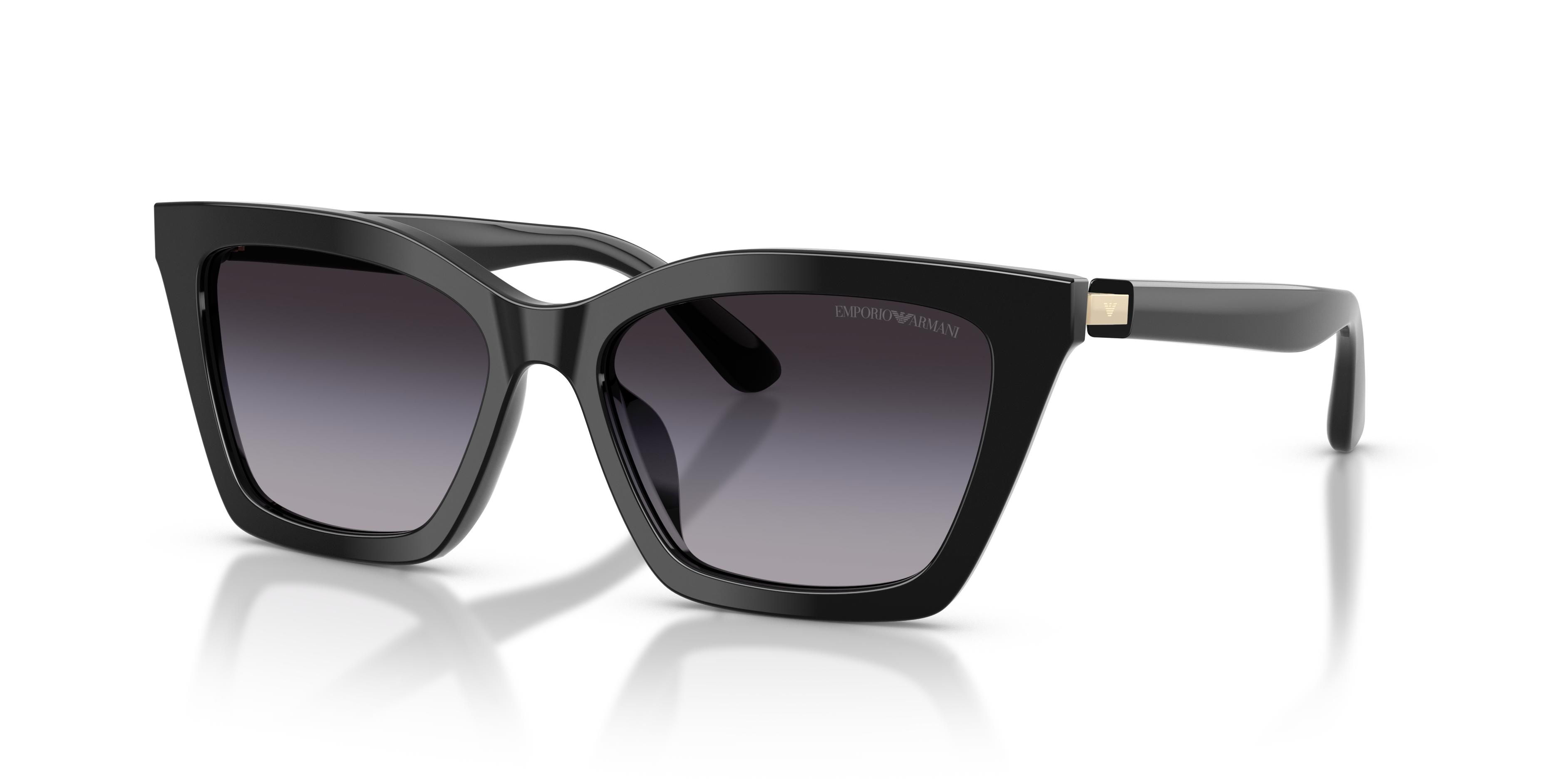 Emporio Armani 0EA4250U Güneş Gözlüğü