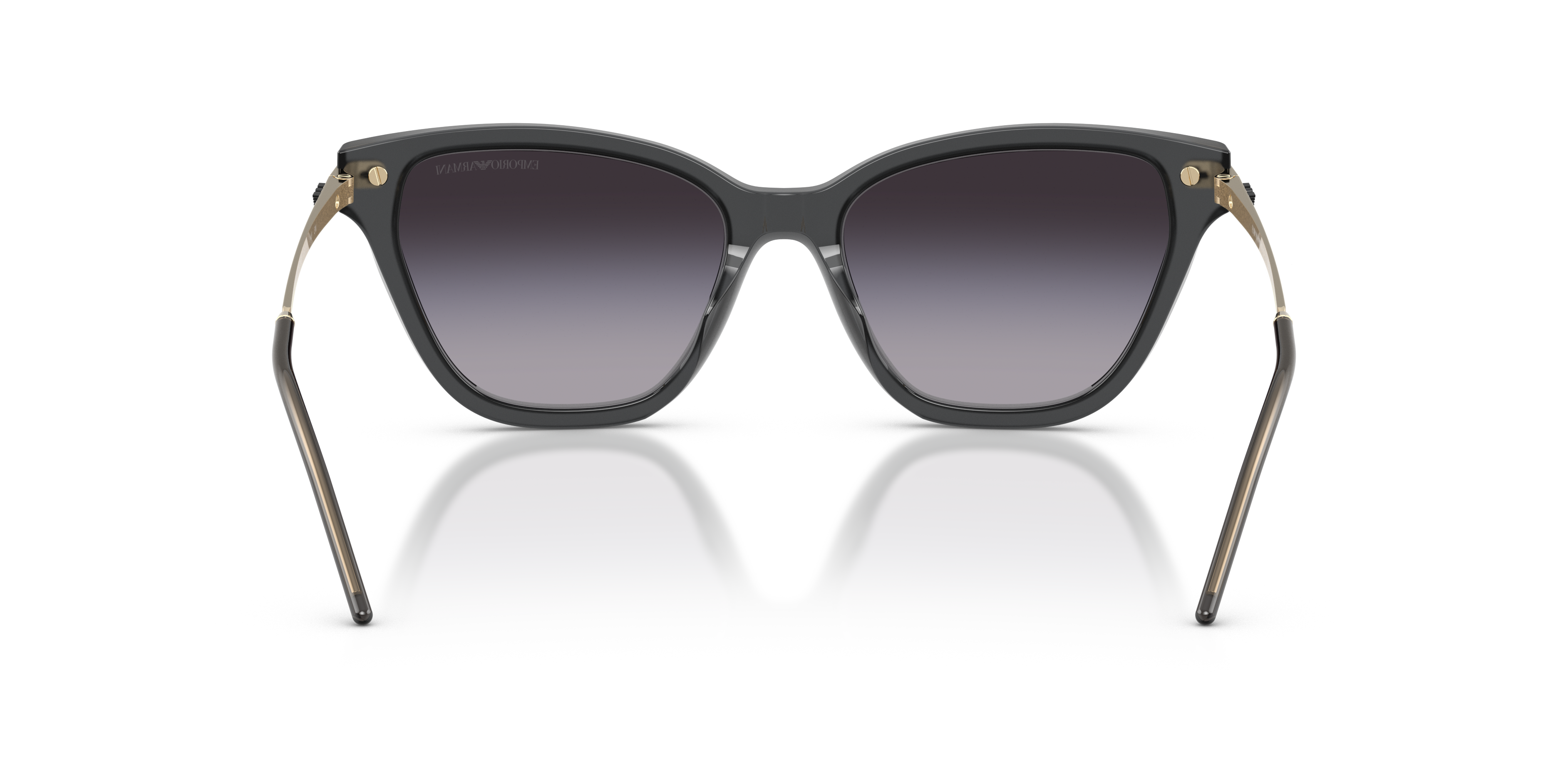 Emporio Armani 0EA4251 Güneş Gözlüğü 3