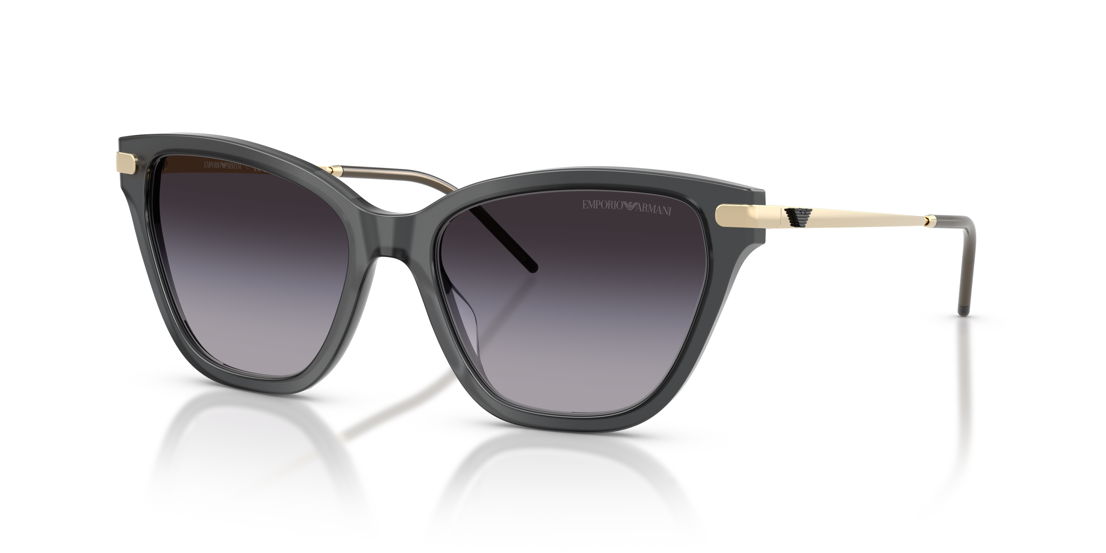 Emporio Armani 0EA4251 Güneş Gözlüğü