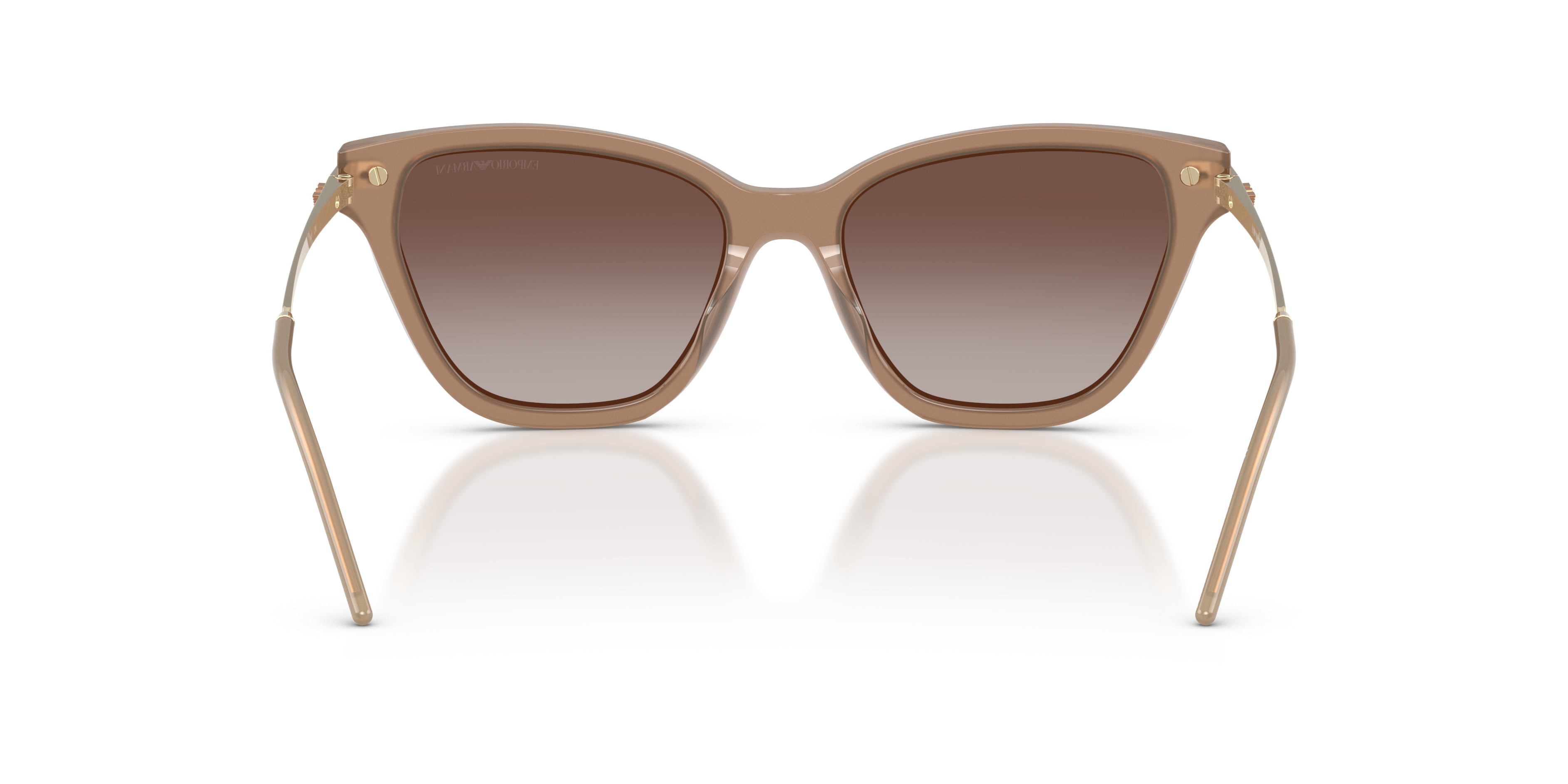 Emporio Armani 0EA4251 Güneş Gözlüğü 3