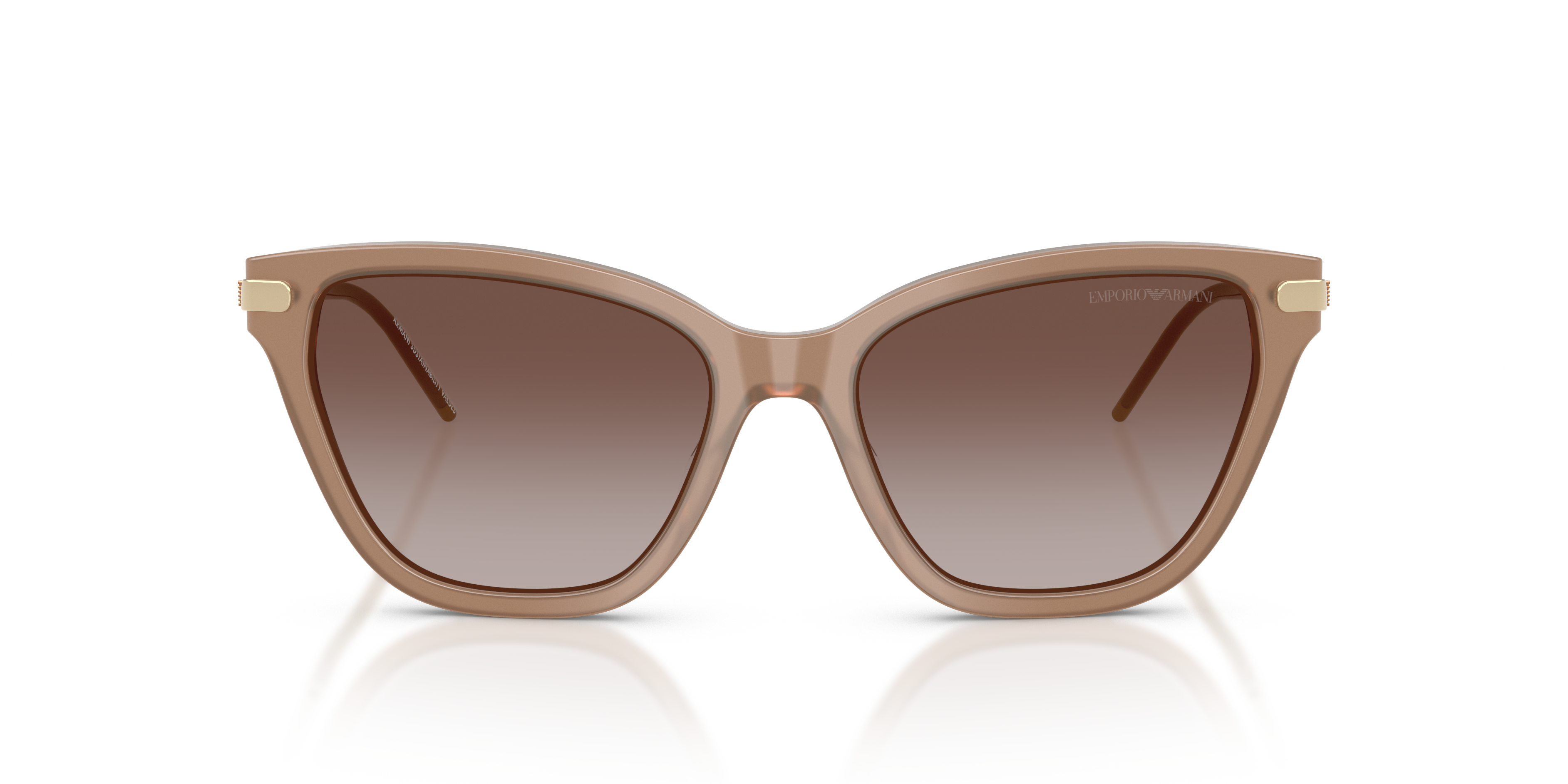 Emporio Armani 0EA4251 Güneş Gözlüğü 4