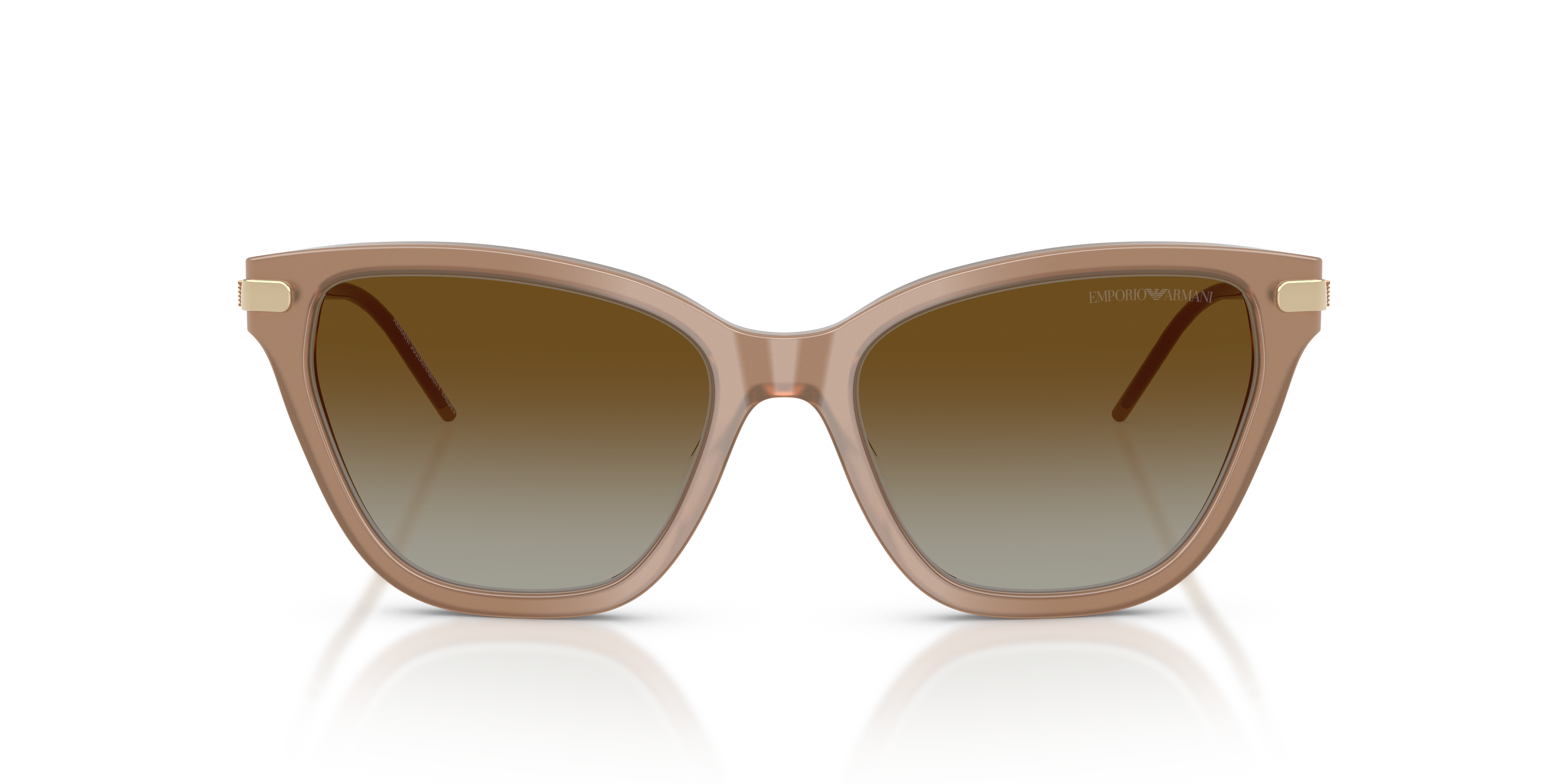 Emporio Armani 0EA4251 Güneş Gözlüğü 4