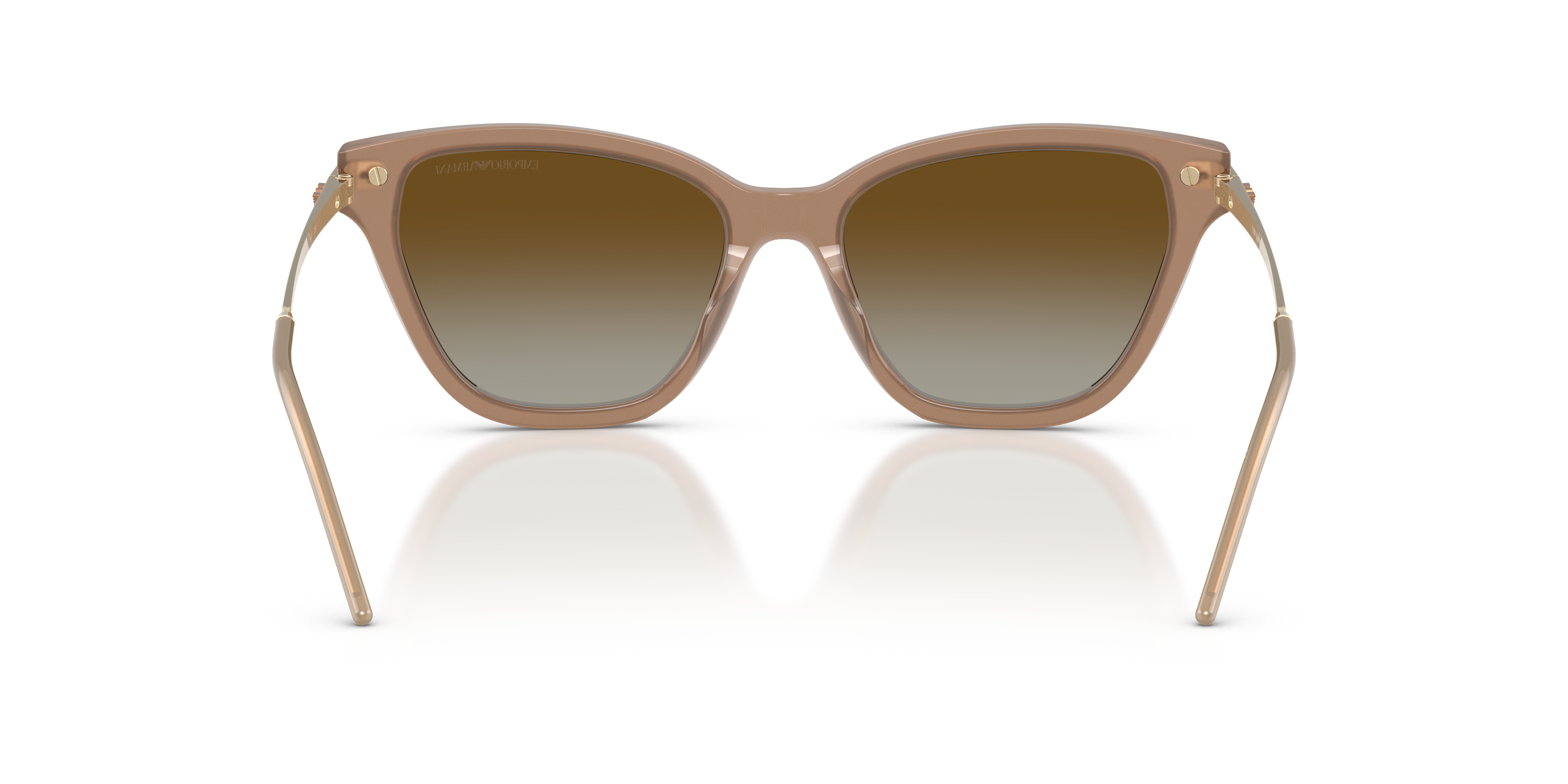 Emporio Armani 0EA4251 Güneş Gözlüğü 3