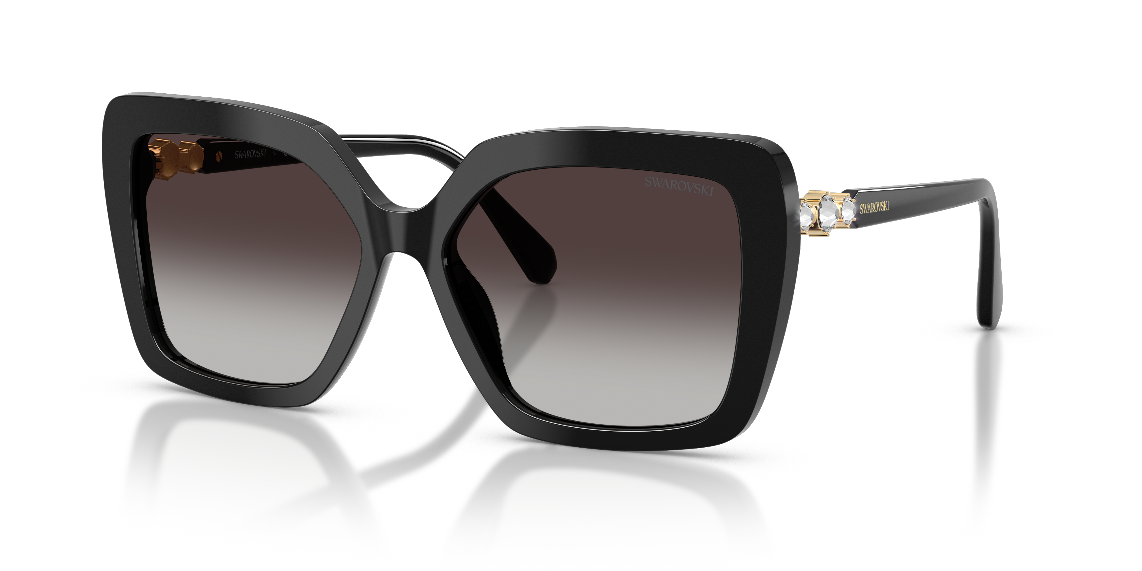 Swarovski 0SK6049 Güneş Gözlüğü