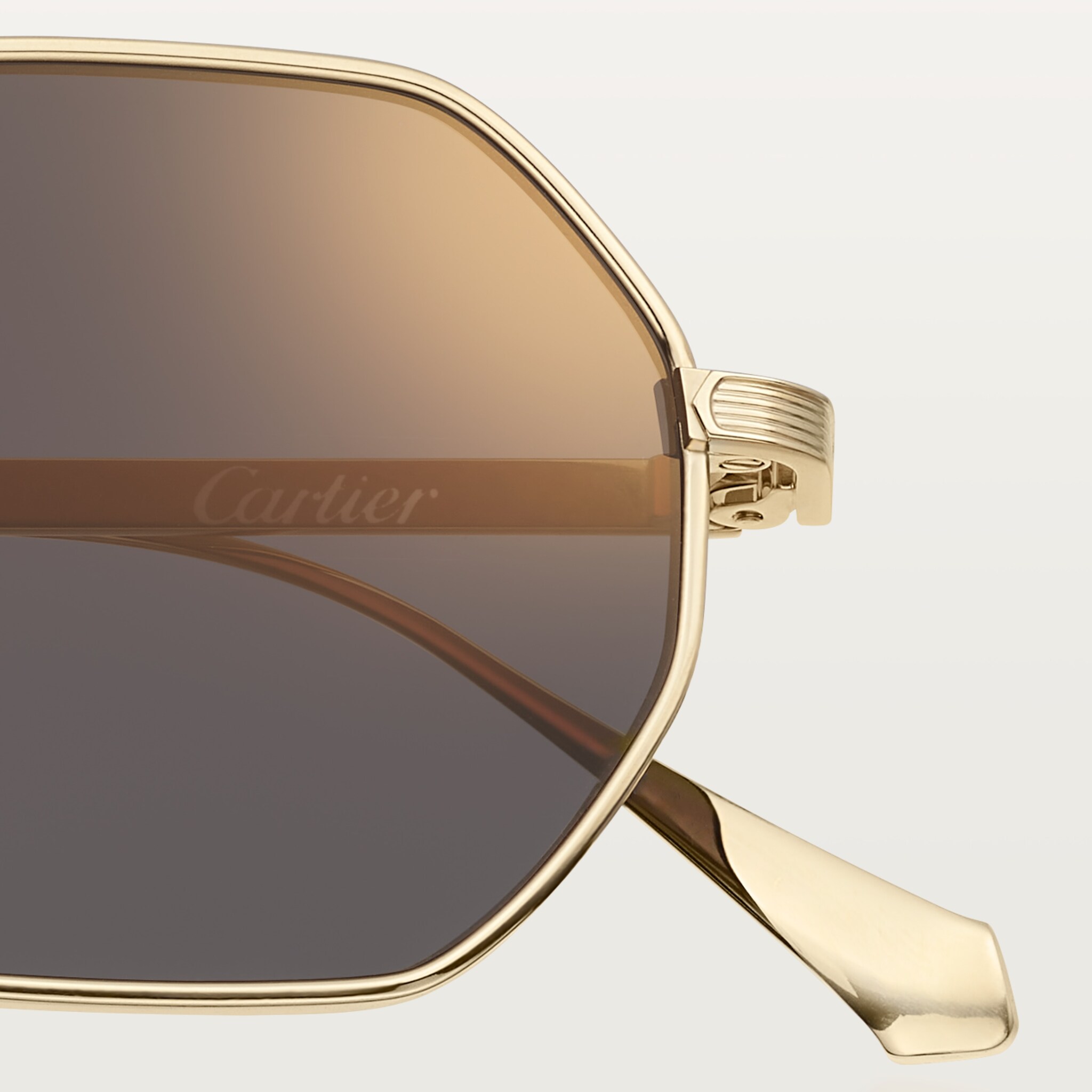 Signature C de Cartier Güneş Gözlüğü 6