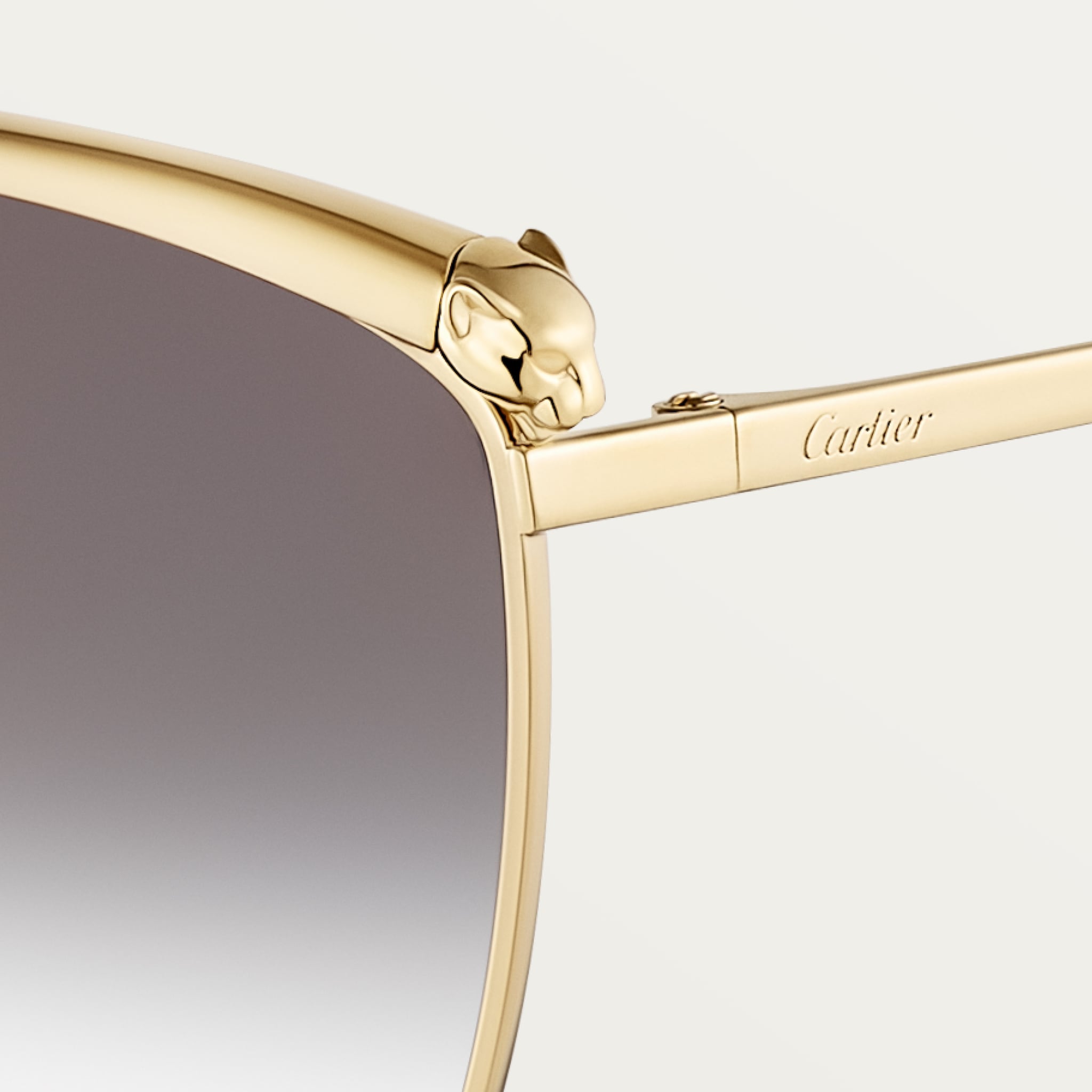 Panthère de Cartier Güneş Gözlüğü 5
