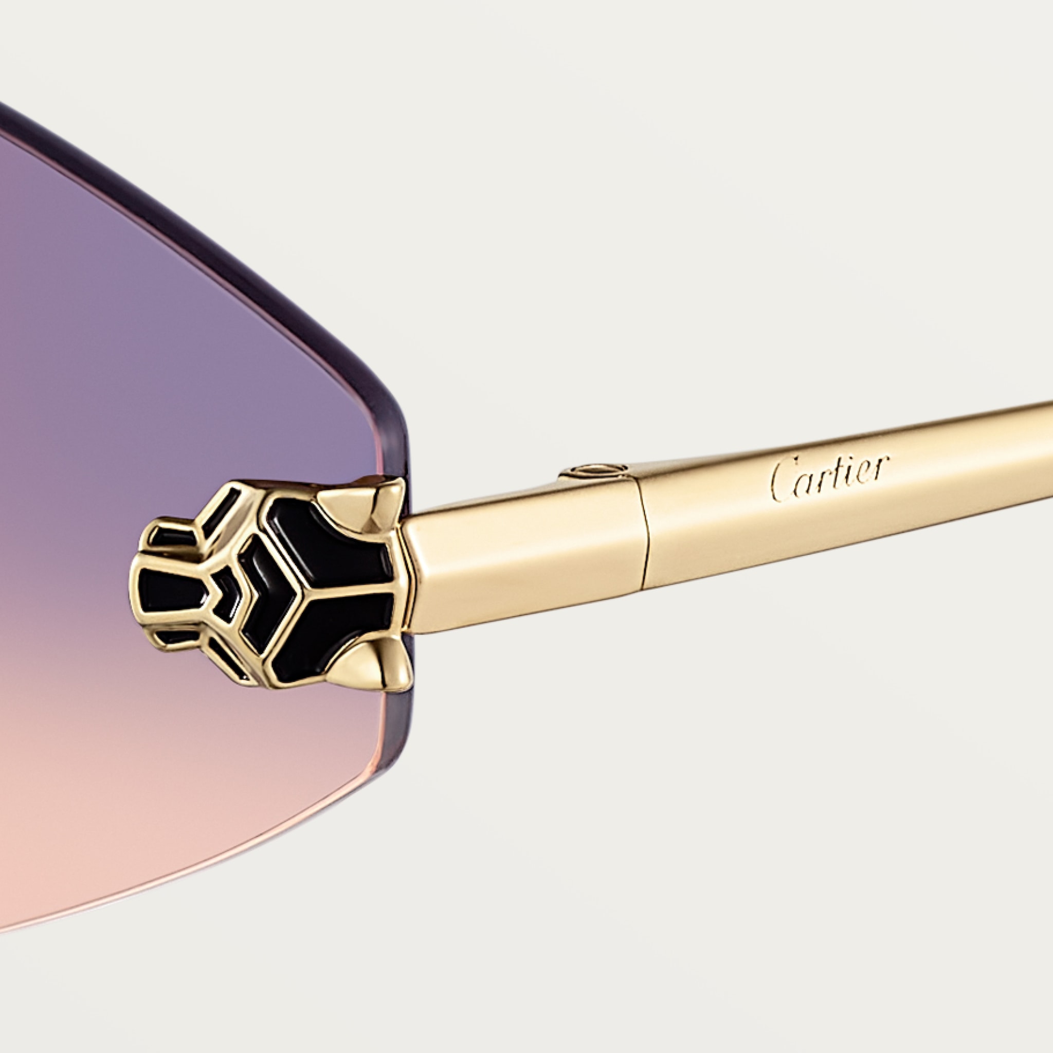 Panthère de Cartier Güneş Gözlüğü 6