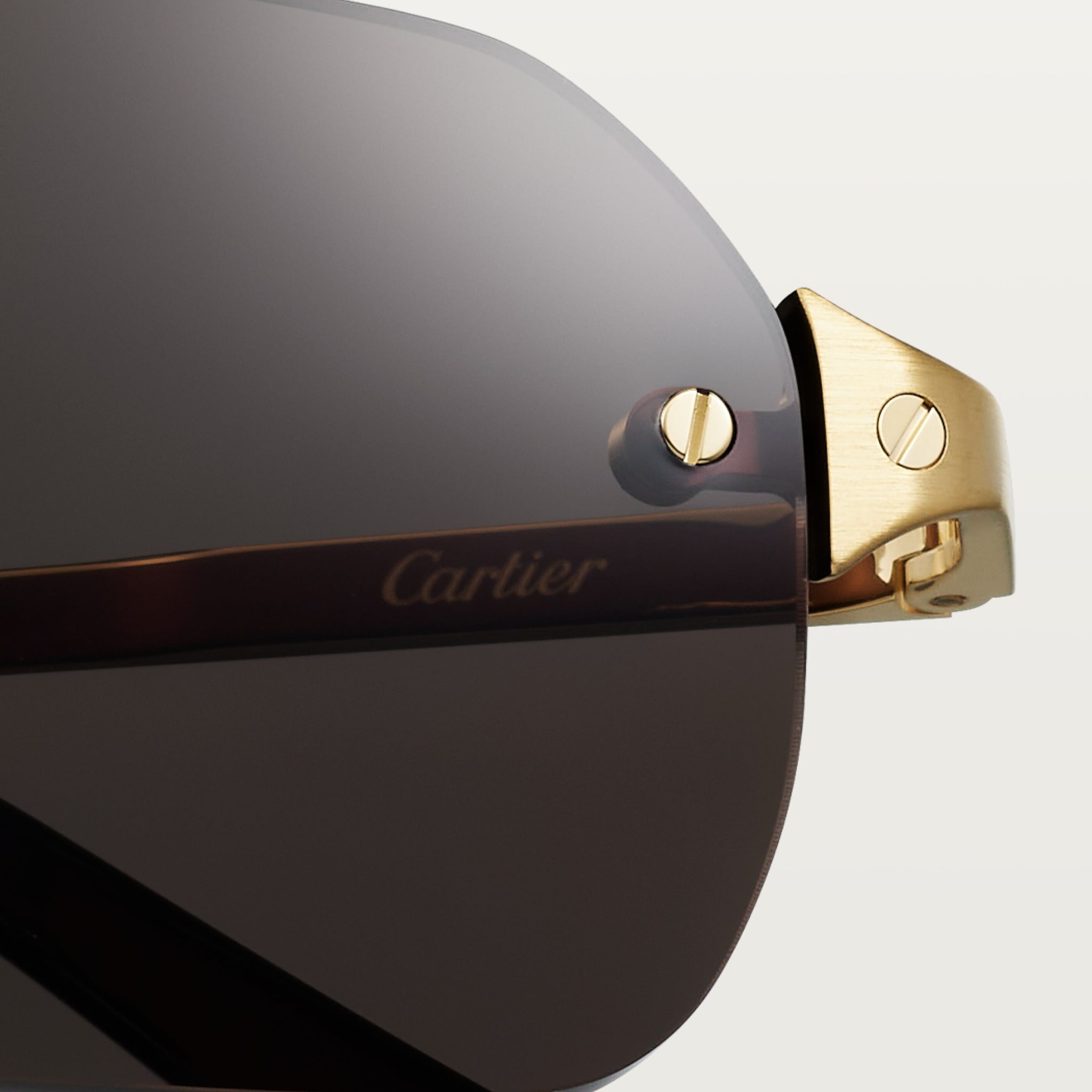 Santos de Cartier Güneş Gözlüğü 5