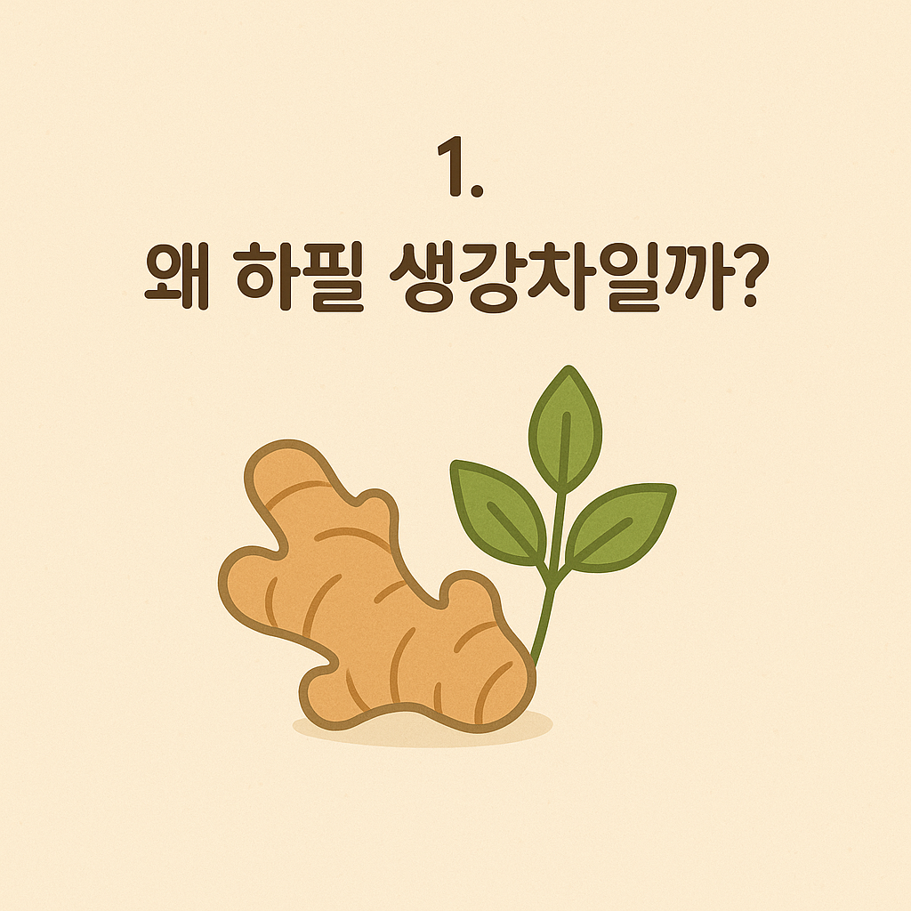 생강 뿌리와 허브