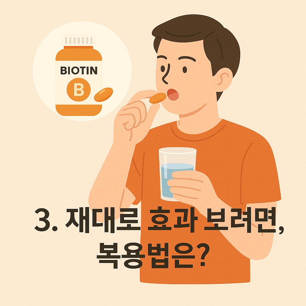 비오틴 알약 복용법 설명 이미지