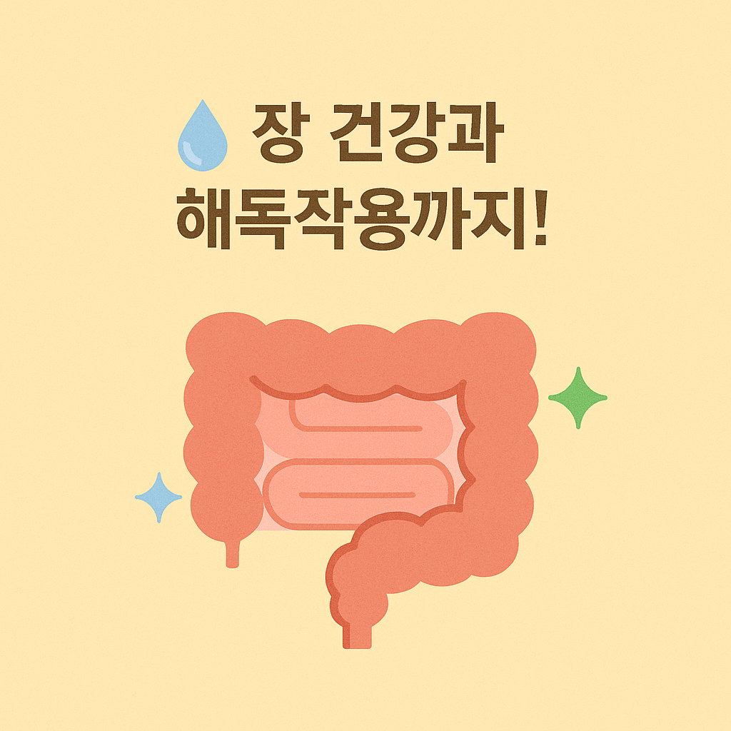 장 건강과 물