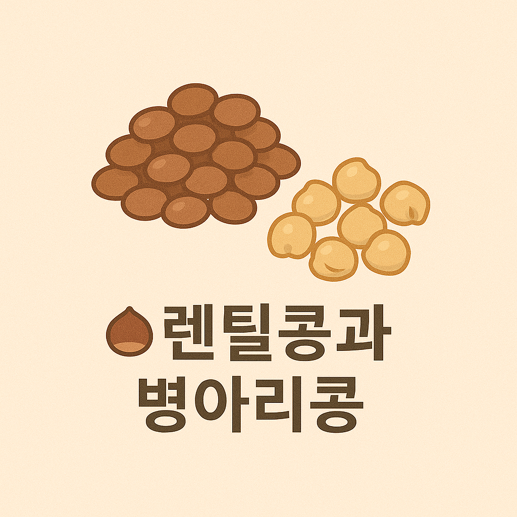 렌틸콩 이미지