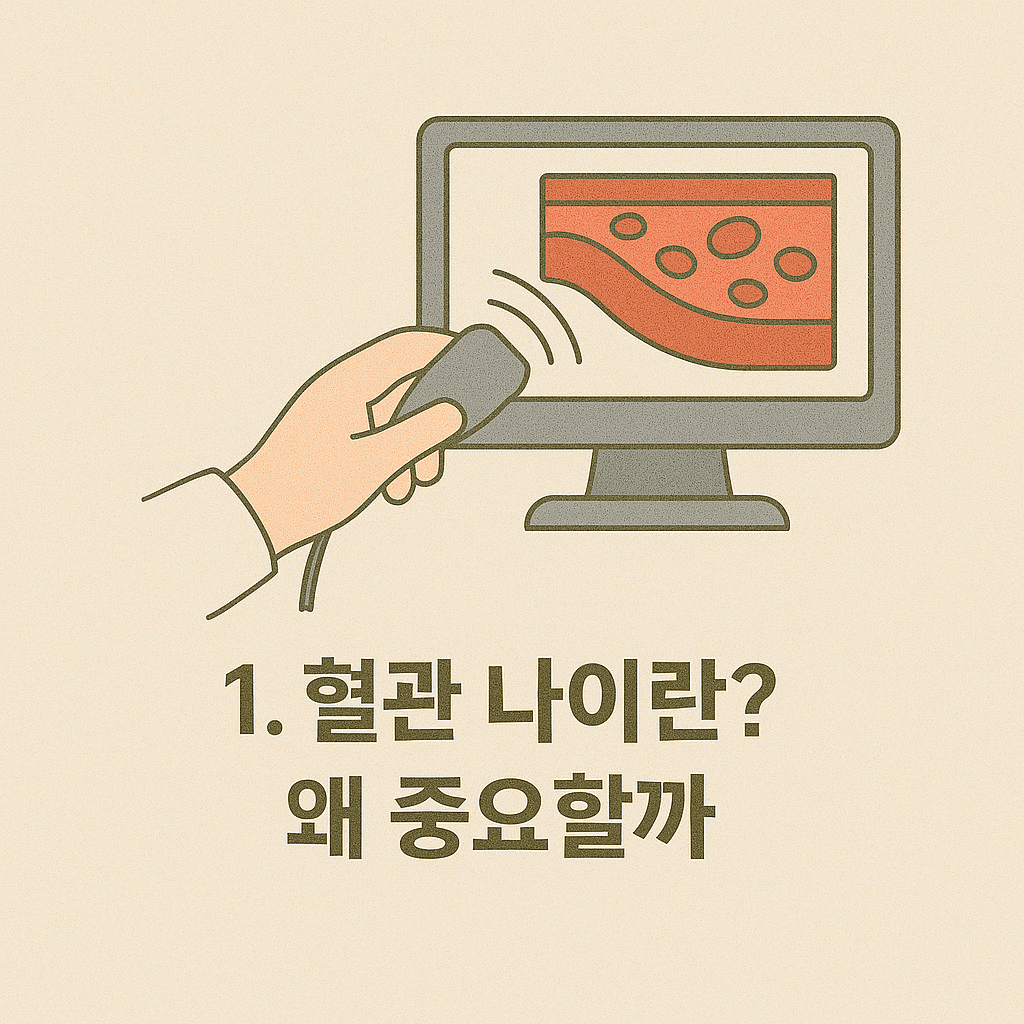 혈관 검사 이미지