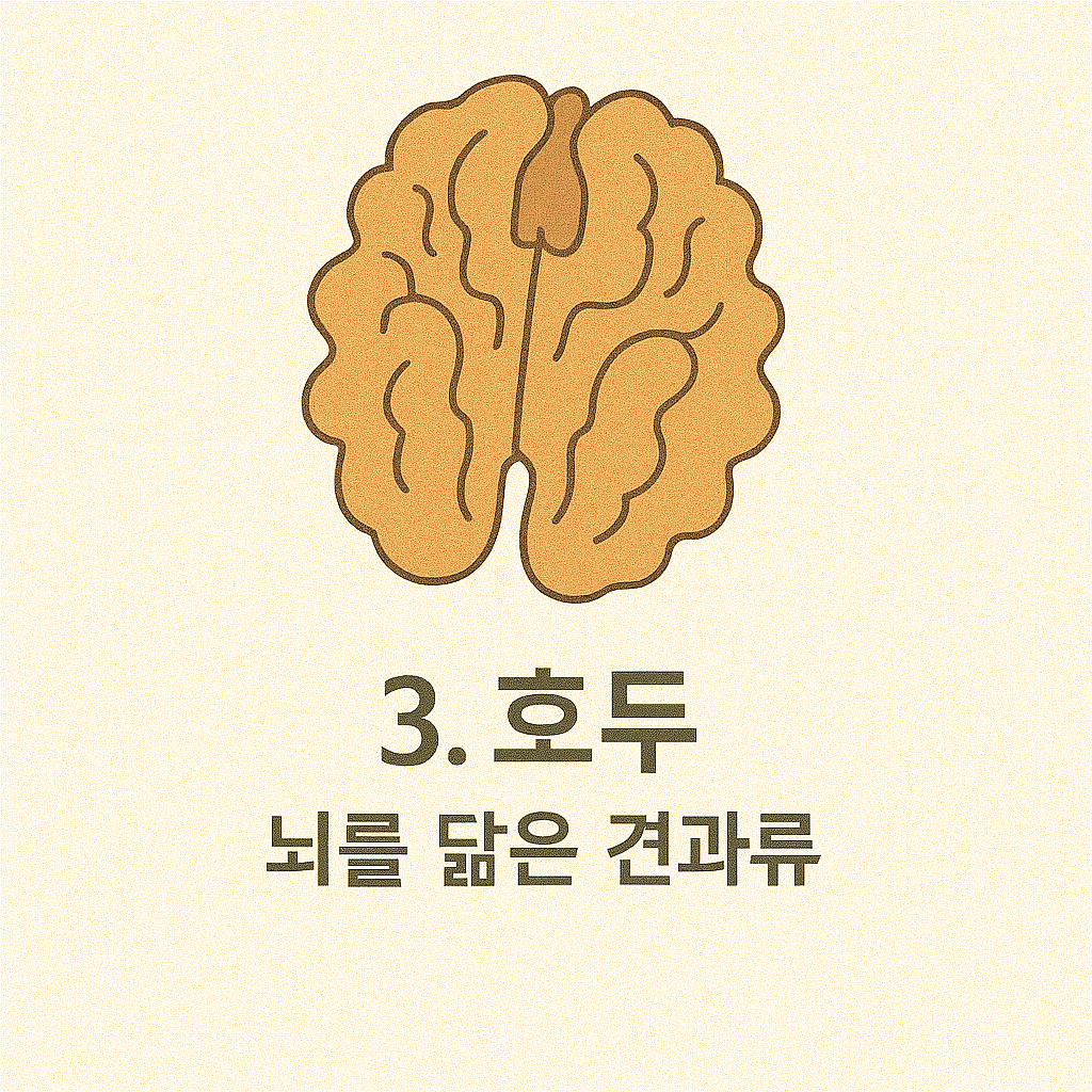 호두 이미지