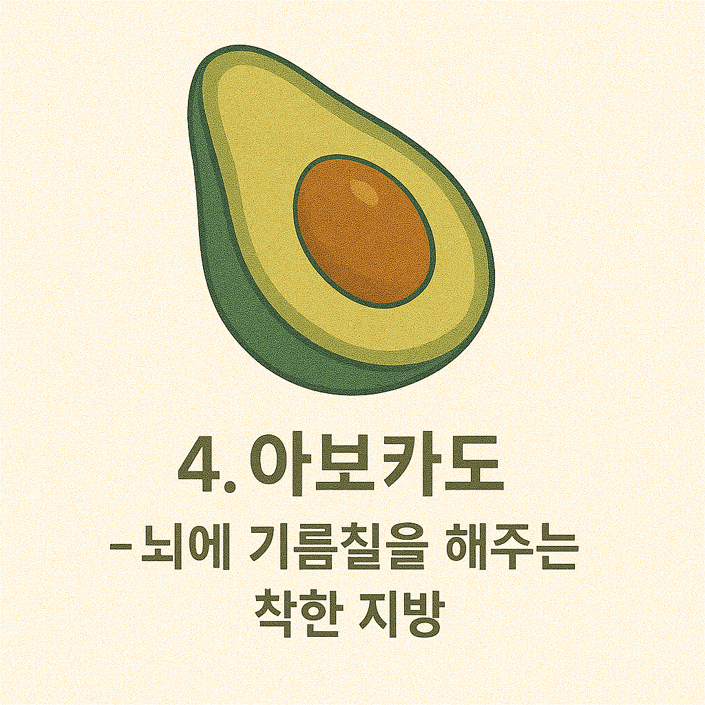 아보카도 이미지