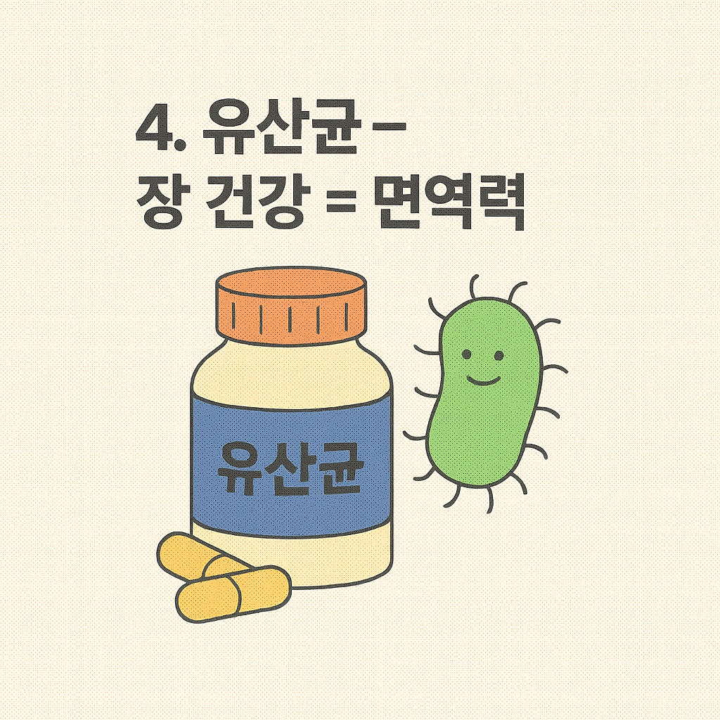 유산균 캡슐 이미지