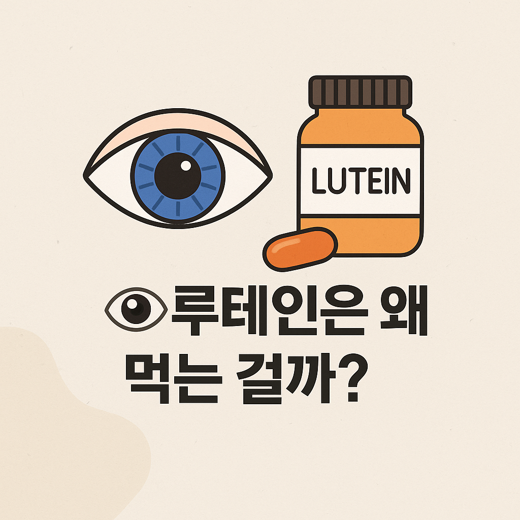 루테인 기능 설명 이미지