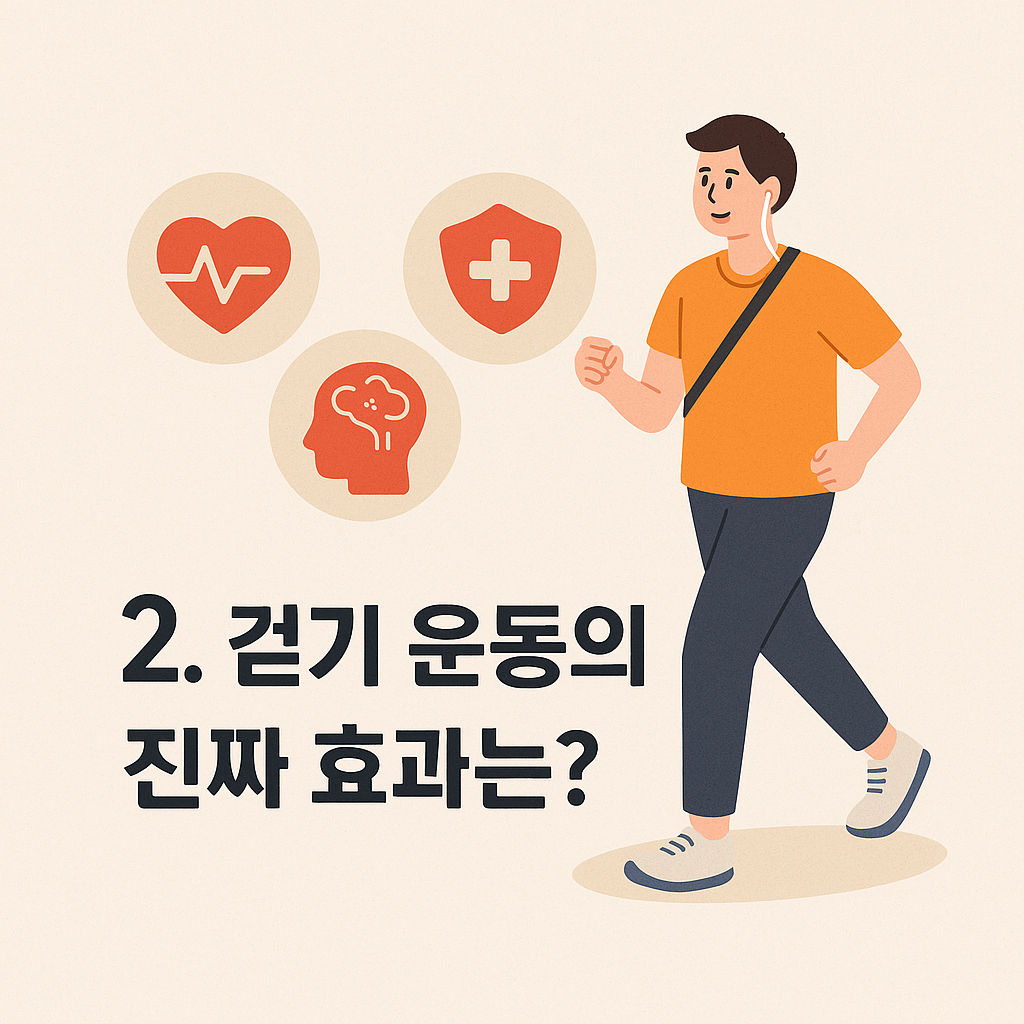 걷기의 건강 효과 이미지