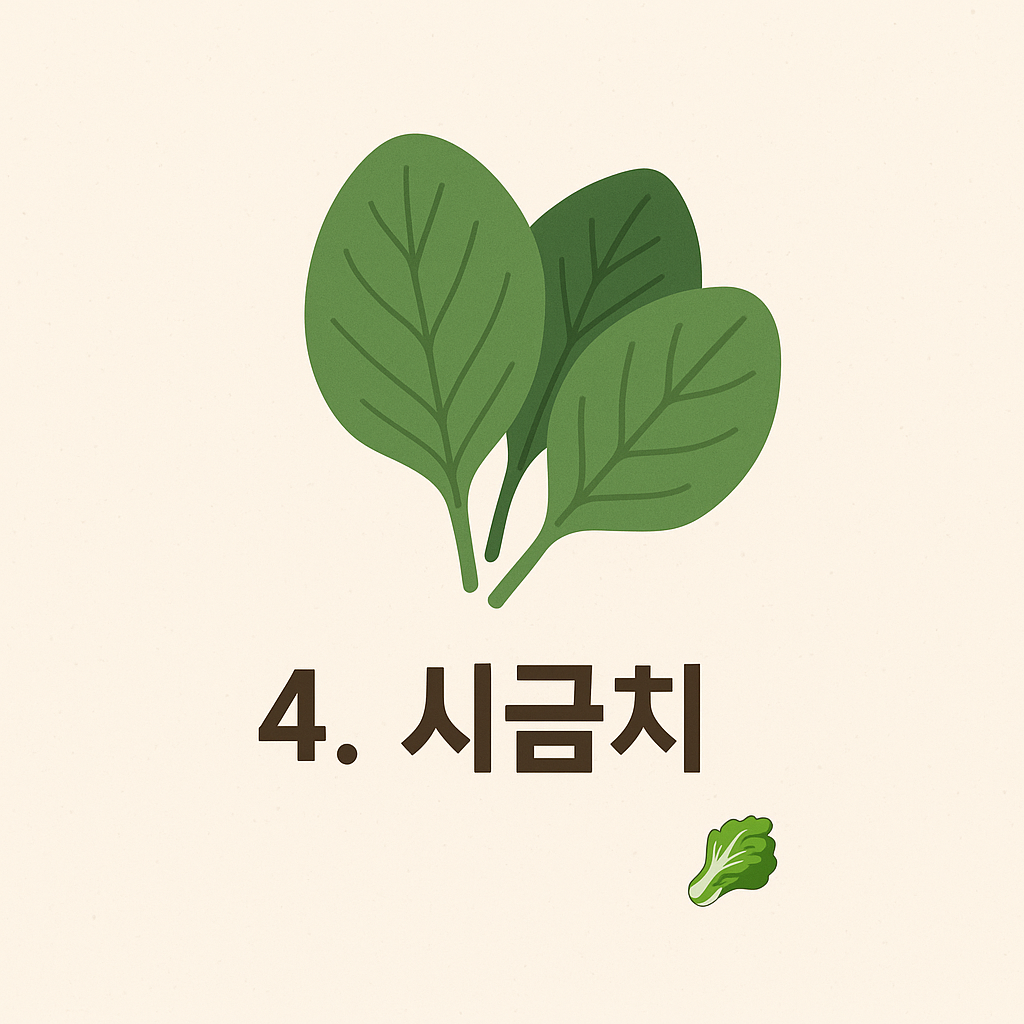 면역력 강화에 좋은 시금치