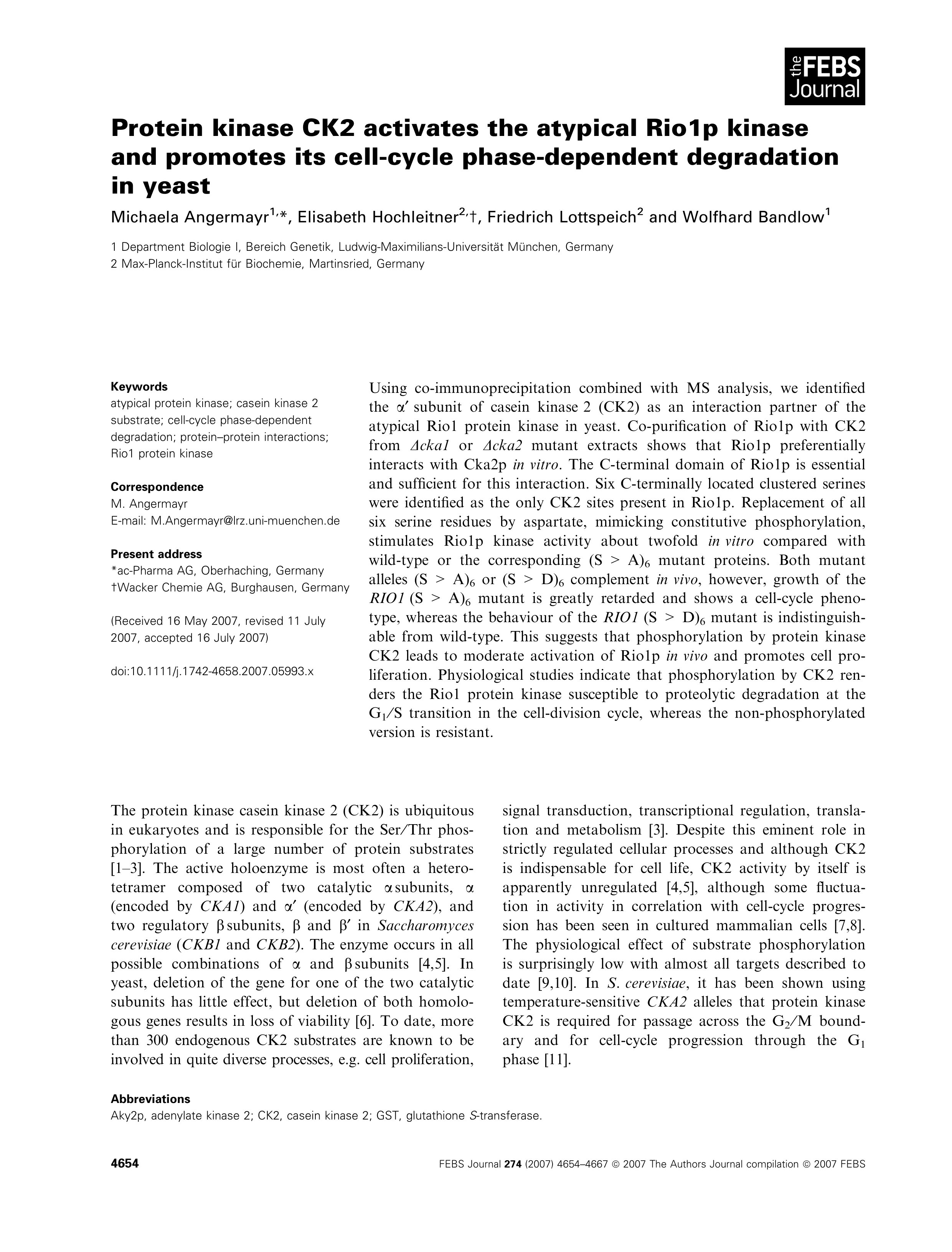 Tài liệu Báo cáo khoa học: Protein kinase CK2 activates the atypical Rio1p kinase and promotes its