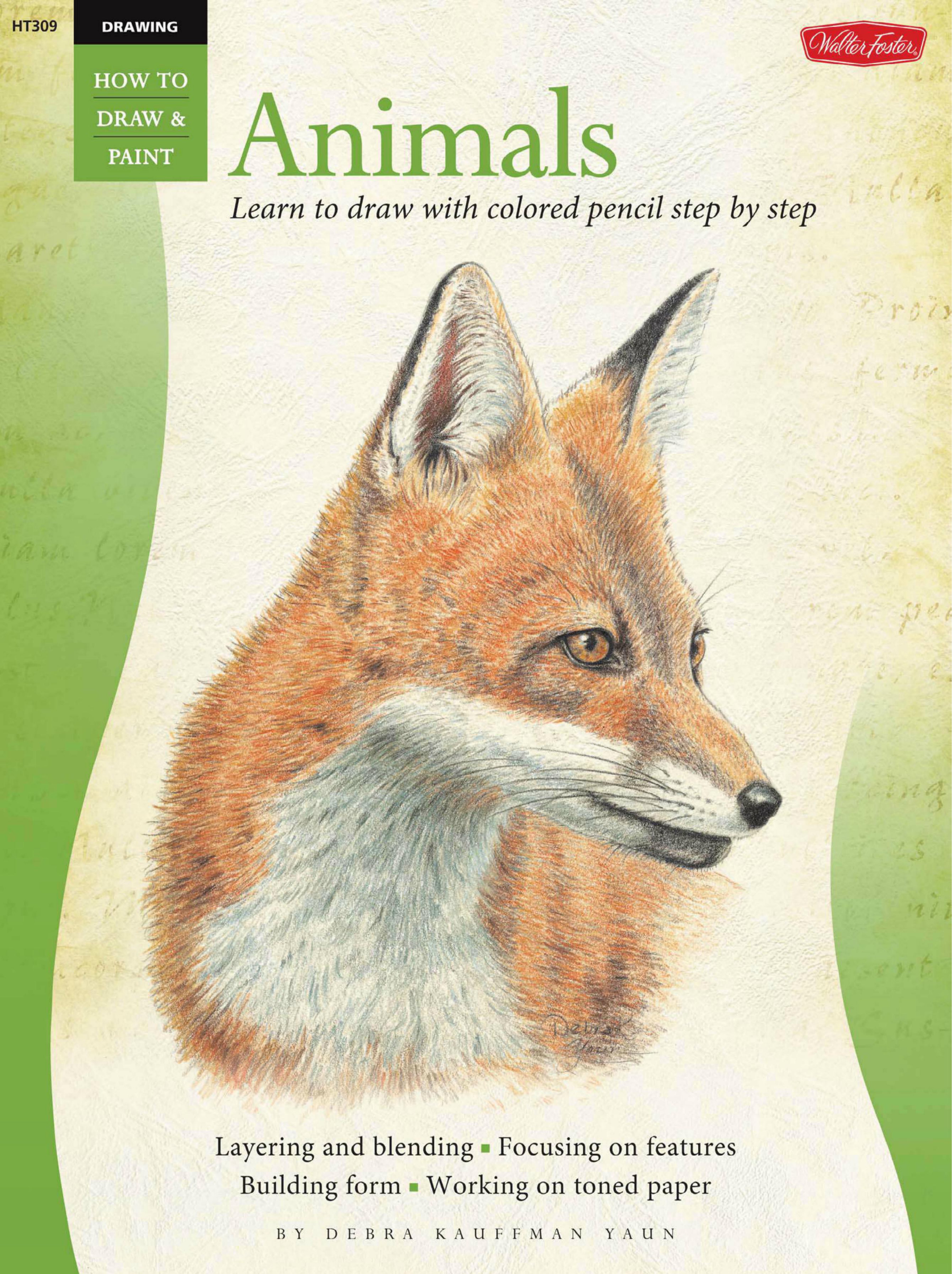 Animals in colored pencil: learn to draw step by step